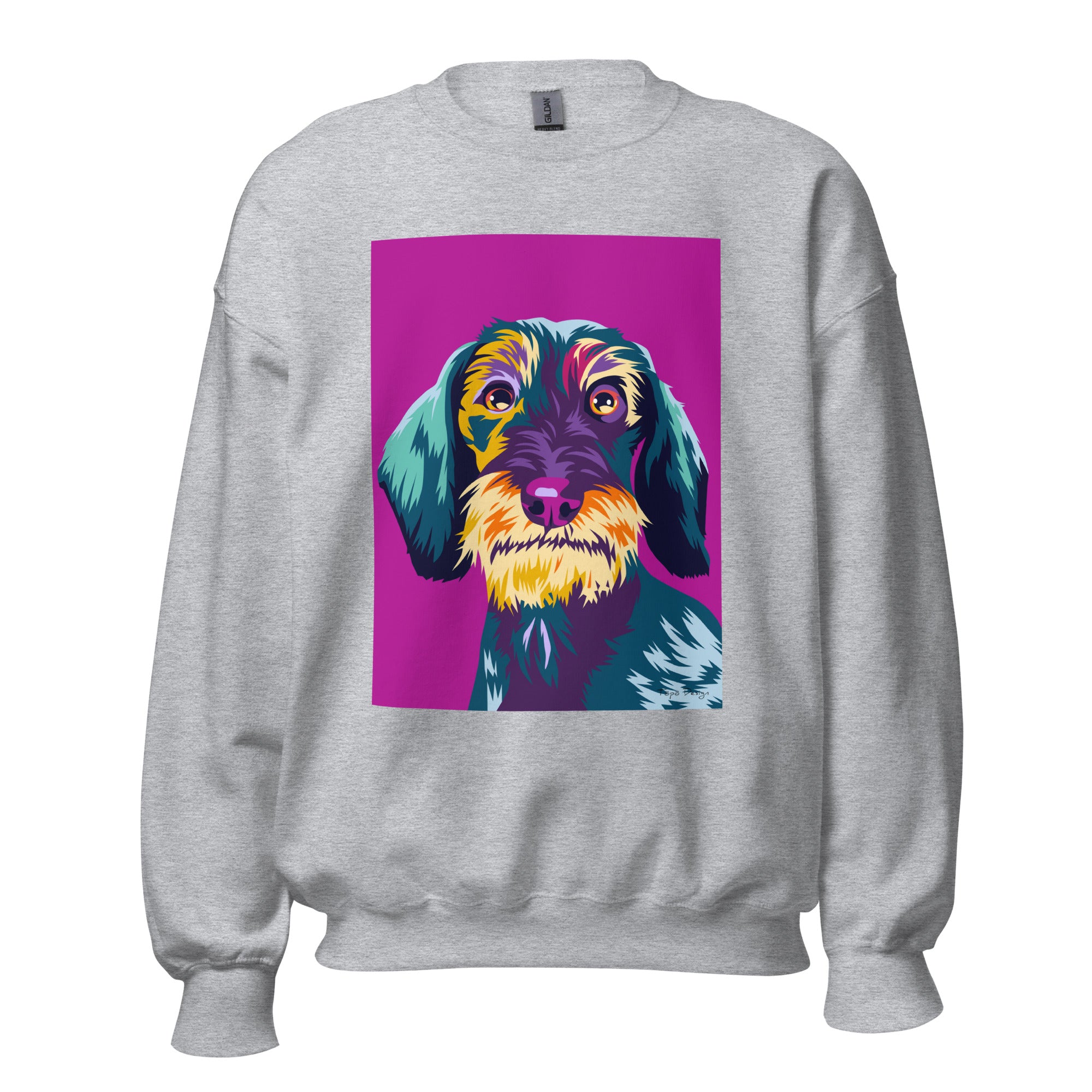 Karkeakarvainen mäyräkoira Collegepaita, Pop Art