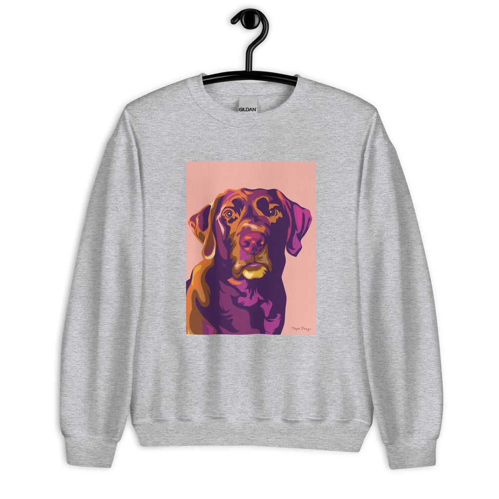 Labradorinnoutaja Collegepaita, Pop Art