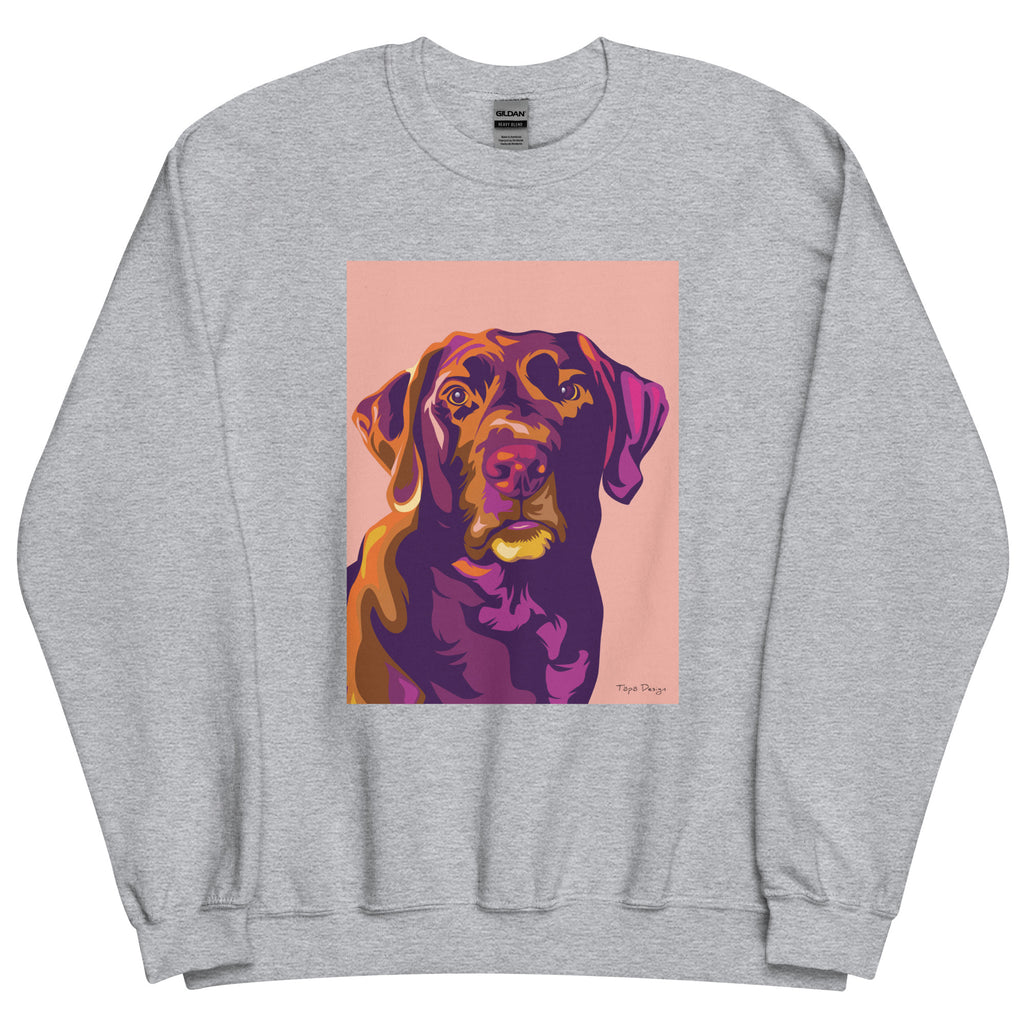 Labradorinnoutaja Collegepaita, Pop Art