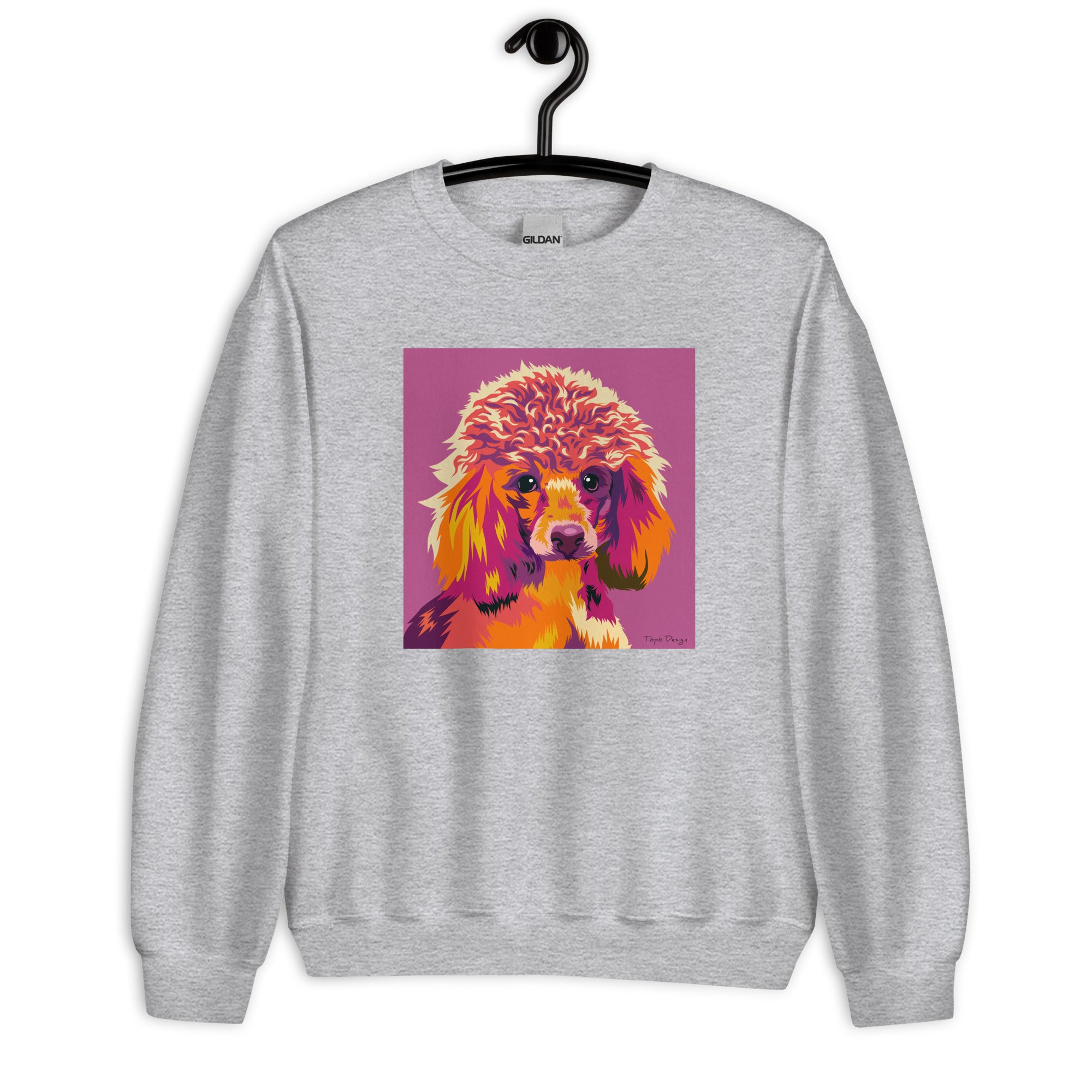 Villakoira Collegepaita, Pop Art