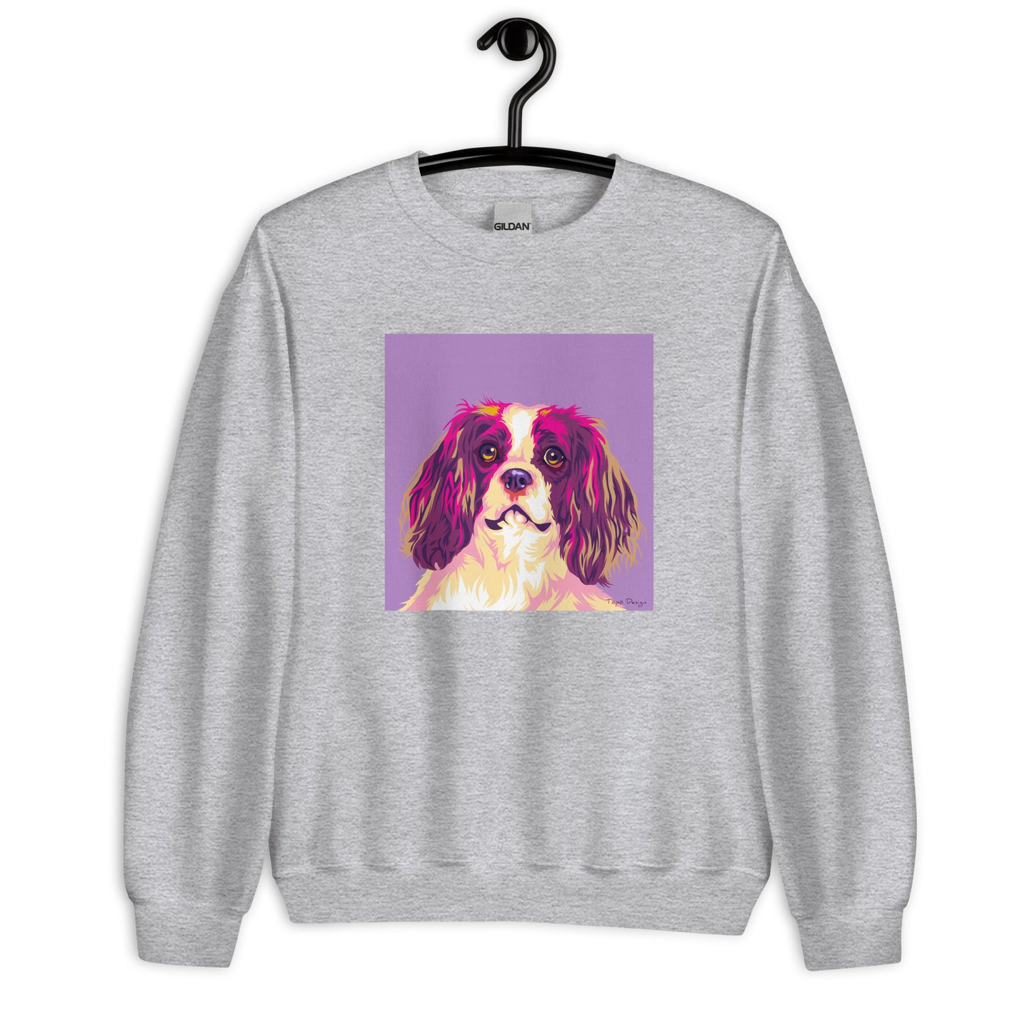 Cavalier Kingcharlesinspanieli Collegepaita, Pop Art