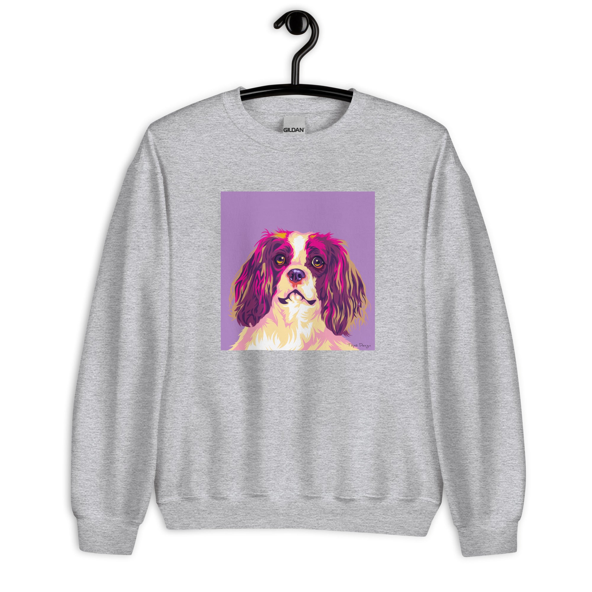 Cavalier Kingcharlesinspanieli Collegepaita, Pop Art