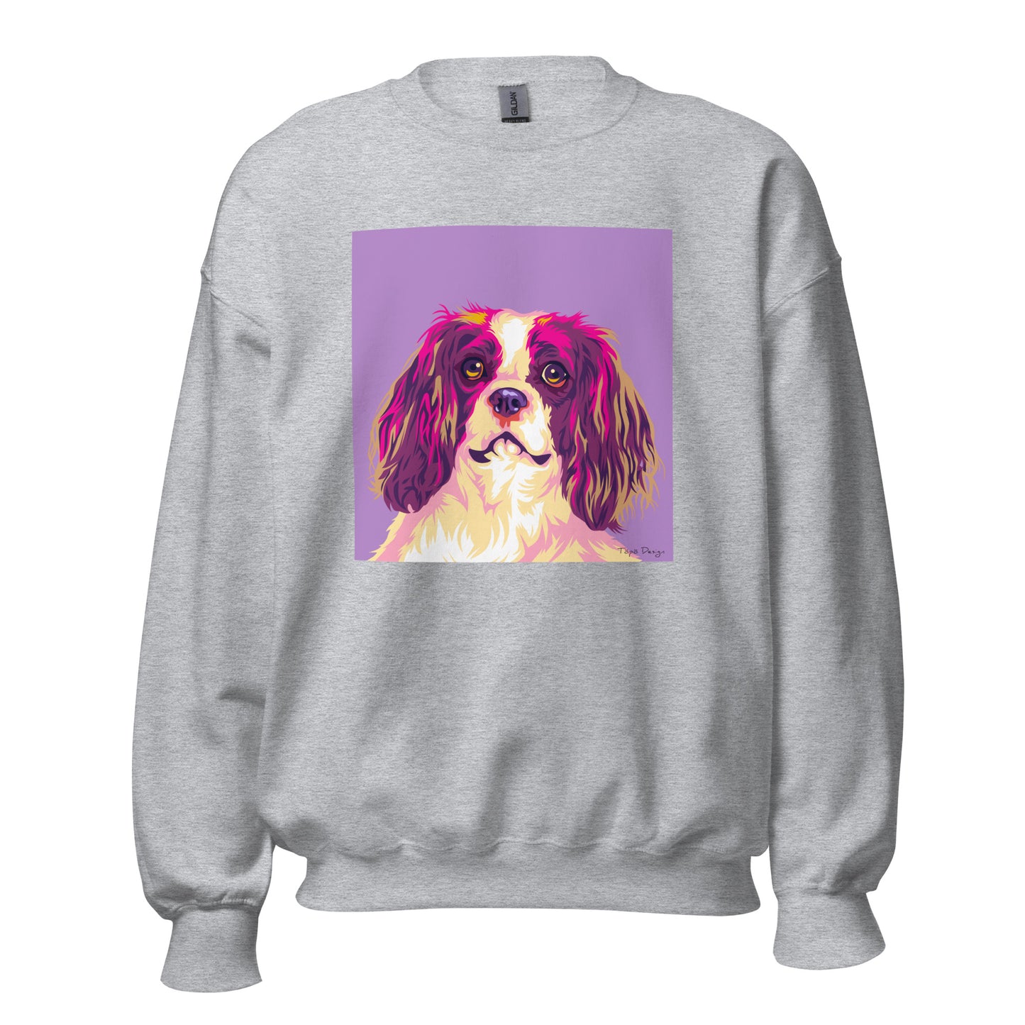 Cavalier Kingcharlesinspanieli Collegepaita, Pop Art