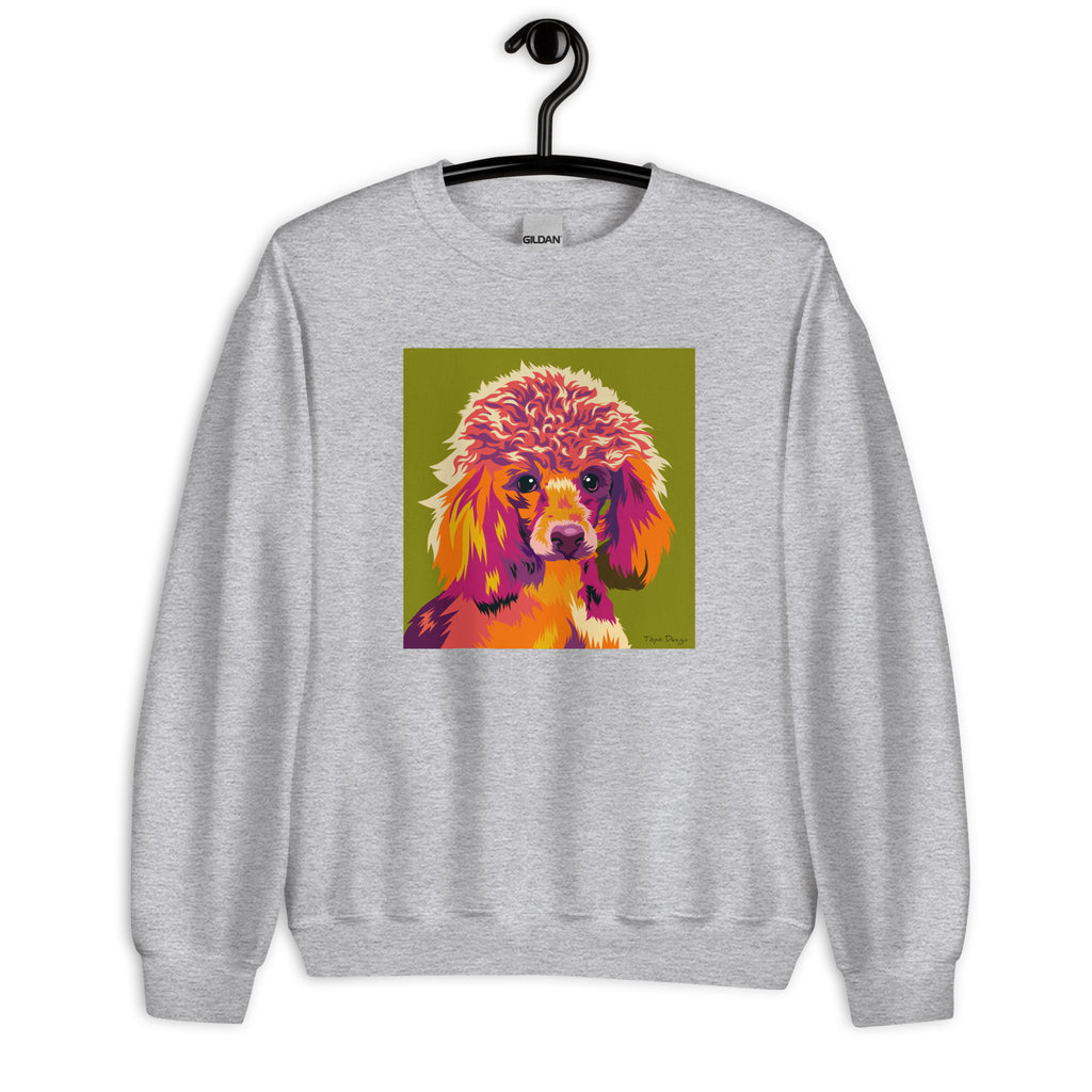 Villakoira Collegepaita, Pop Art