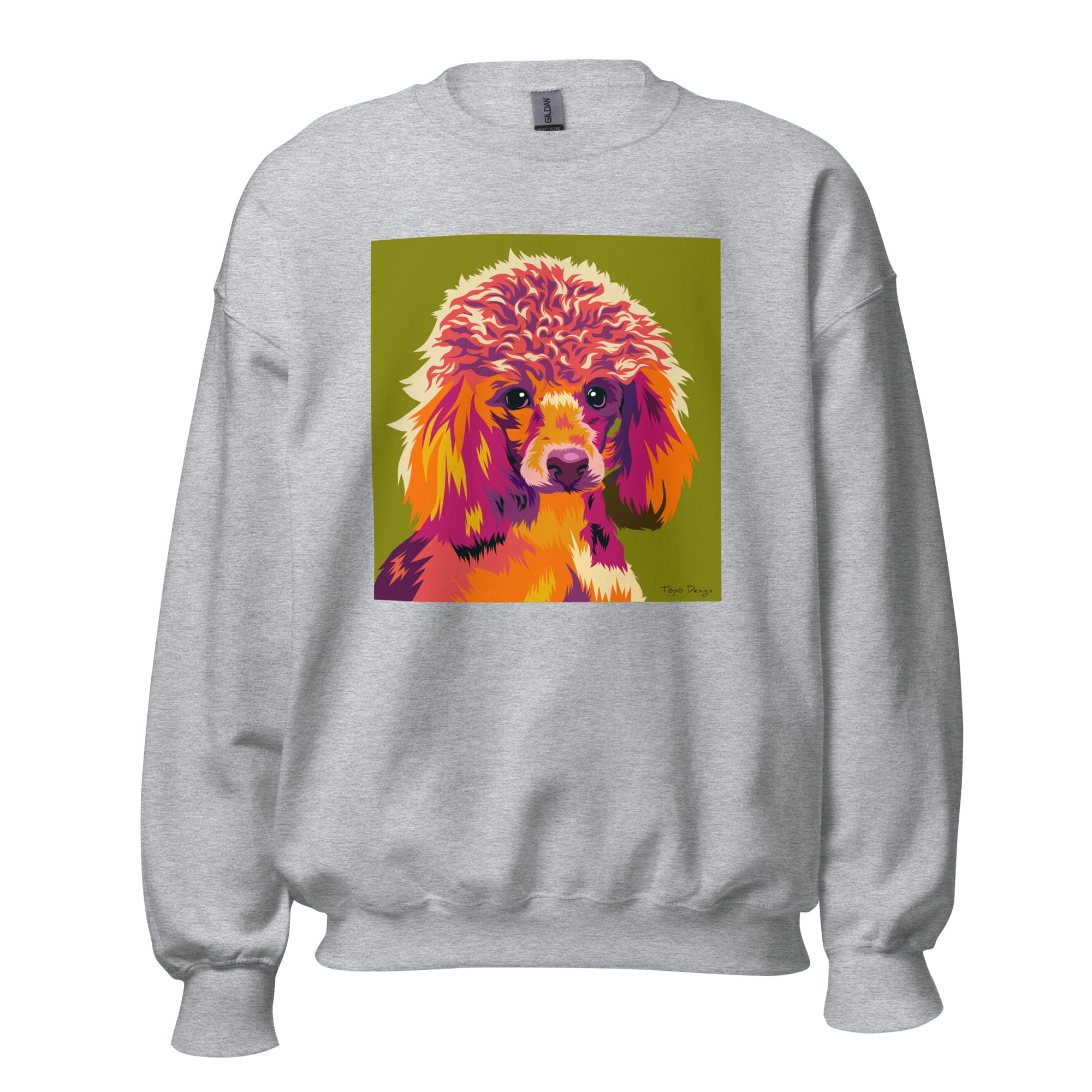 Villakoira Collegepaita, Pop Art