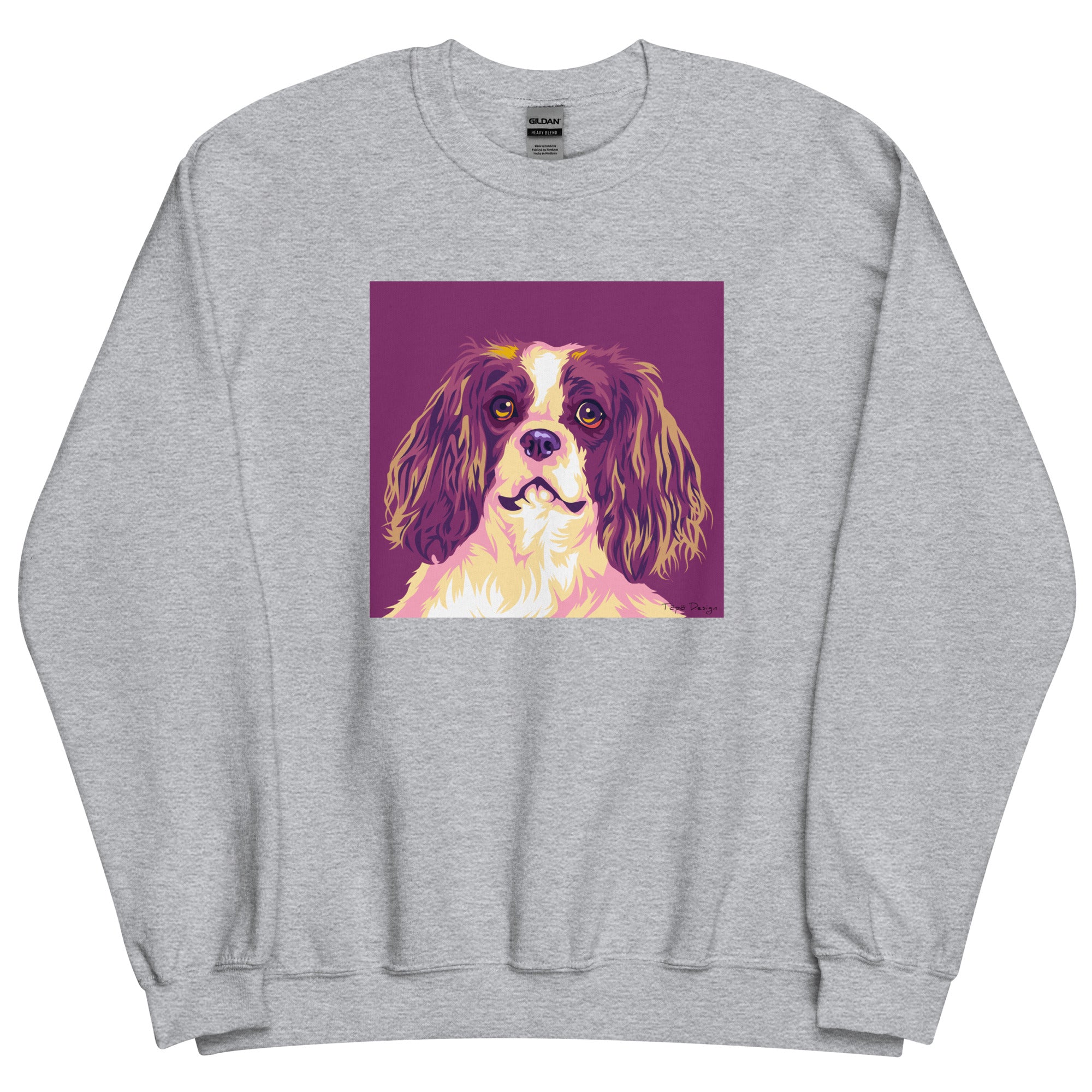 Cavalier kingcharlesinspanieli Collegepaita, Pop Art