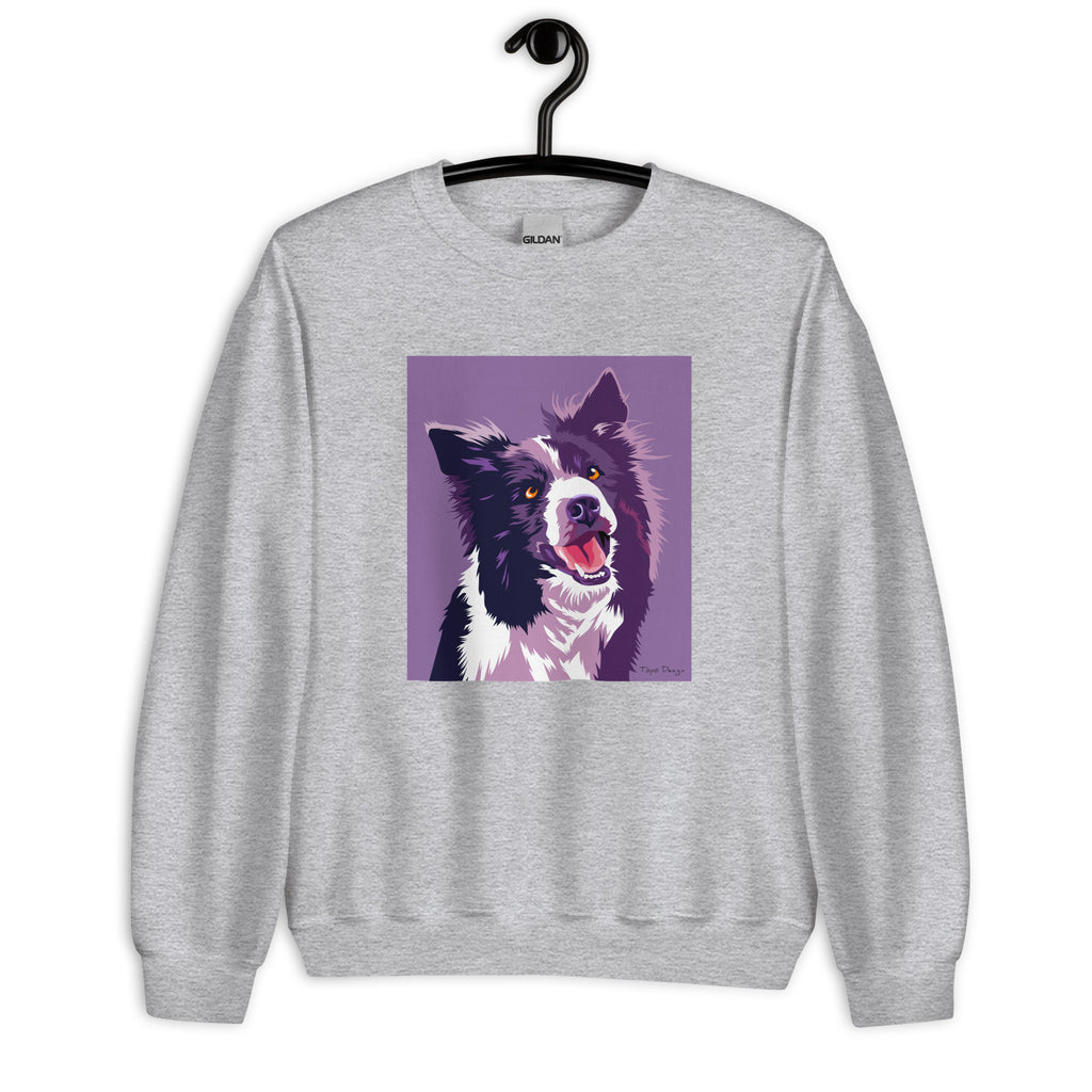 Bordercollie Collegepaita, Pop Art