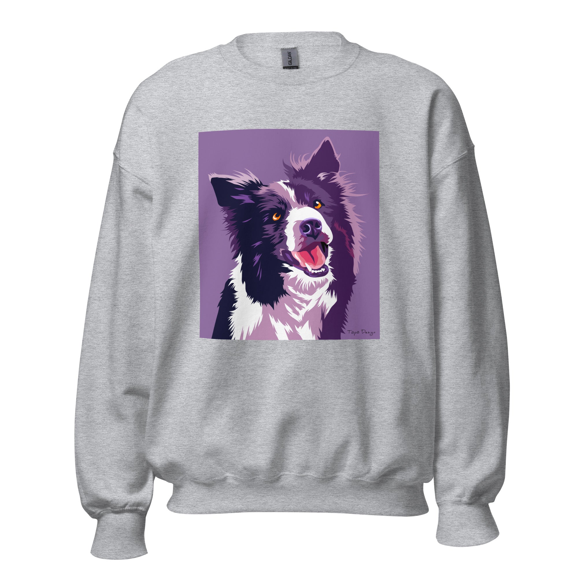 Bordercollie Collegepaita, Pop Art