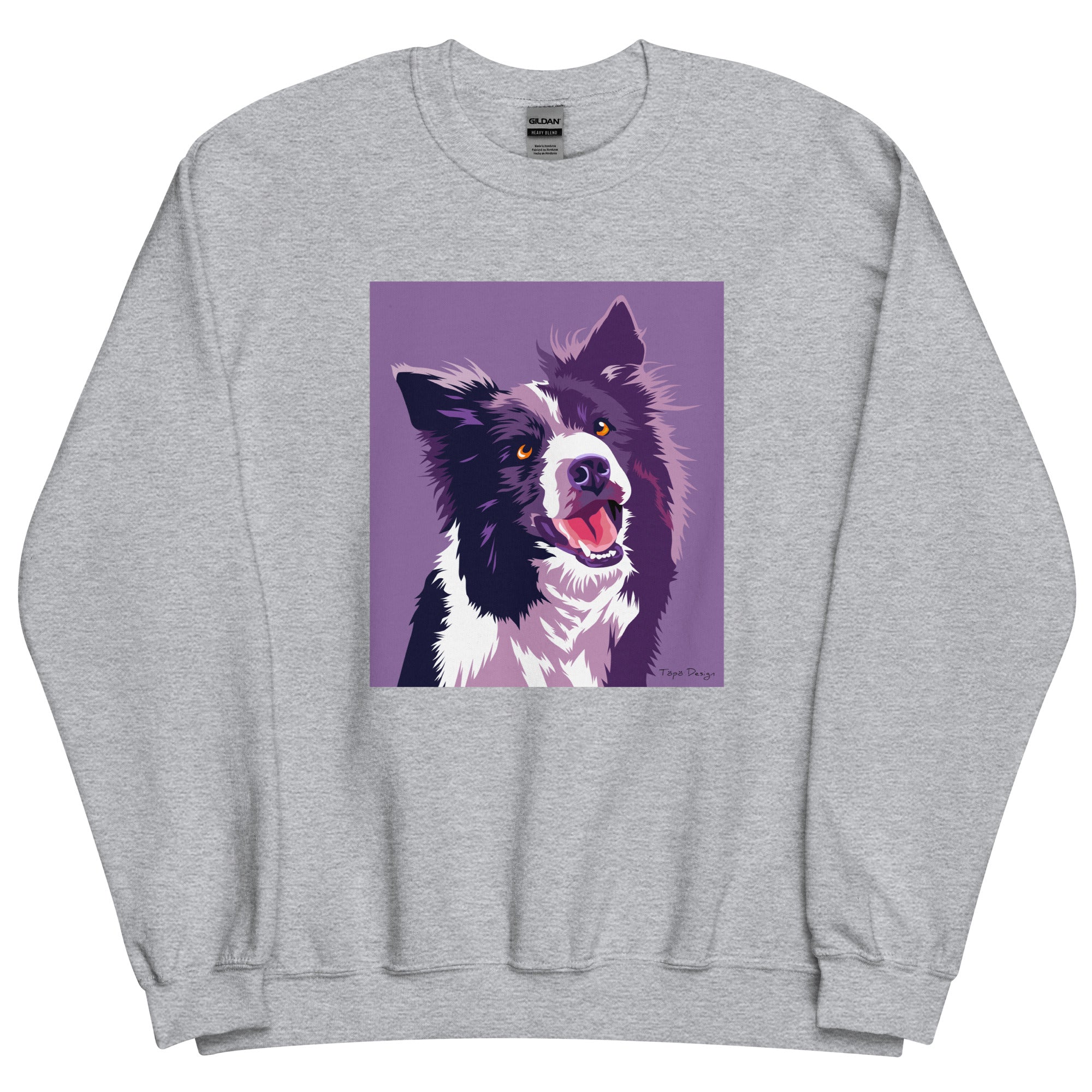 Bordercollie Collegepaita, Pop Art