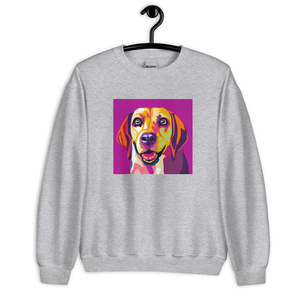 Beagle Collegepaita, Pop Art