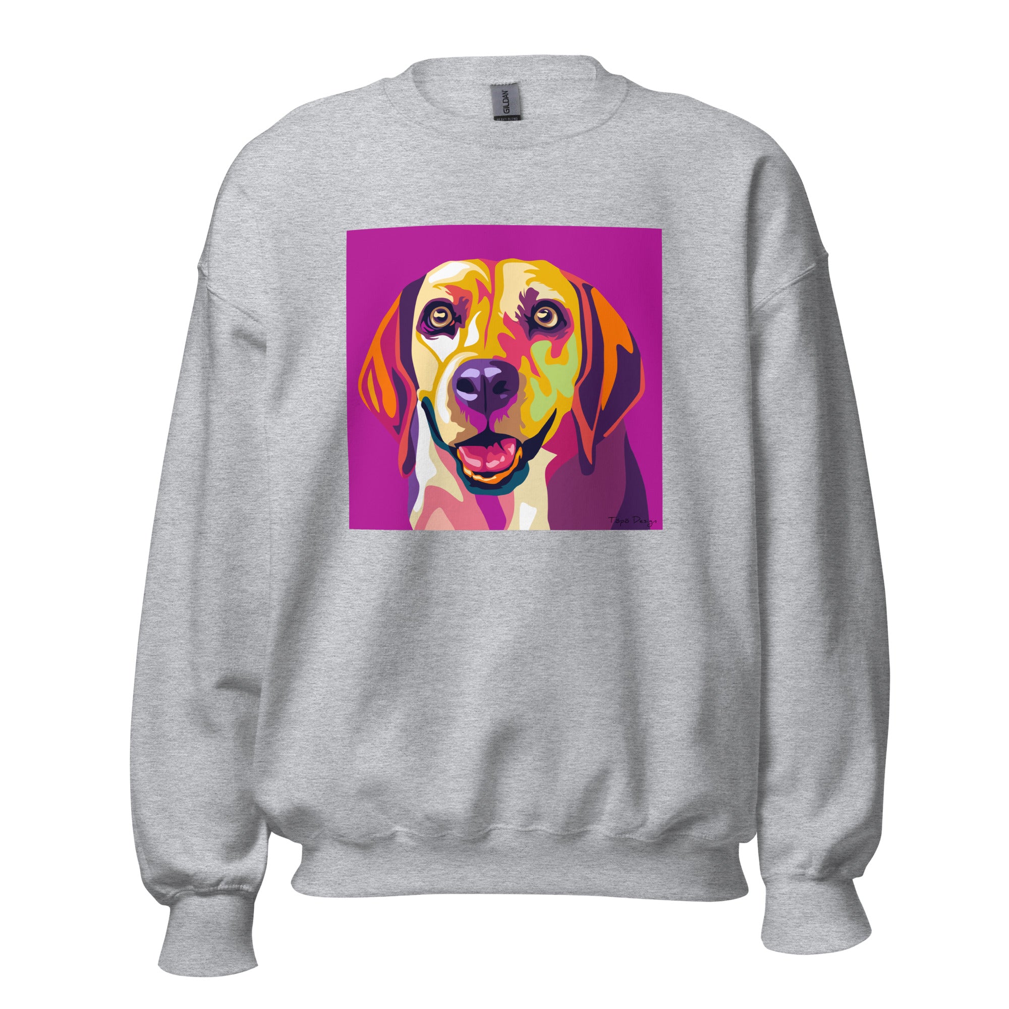 Beagle Collegepaita, Pop Art