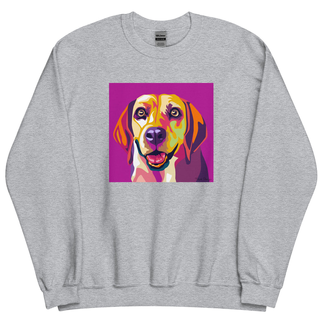 Beagle Collegepaita, Pop Art
