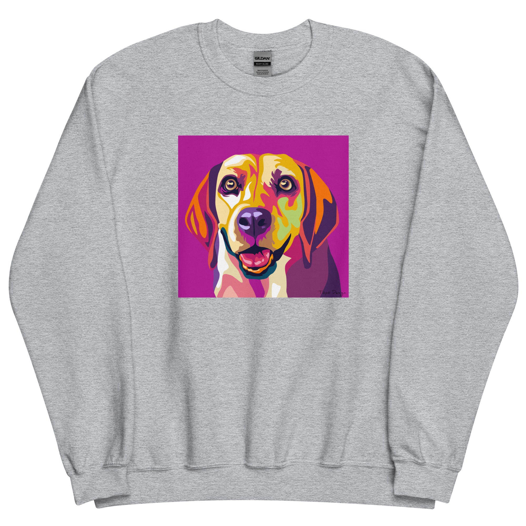 Beagle Collegepaita, Pop Art