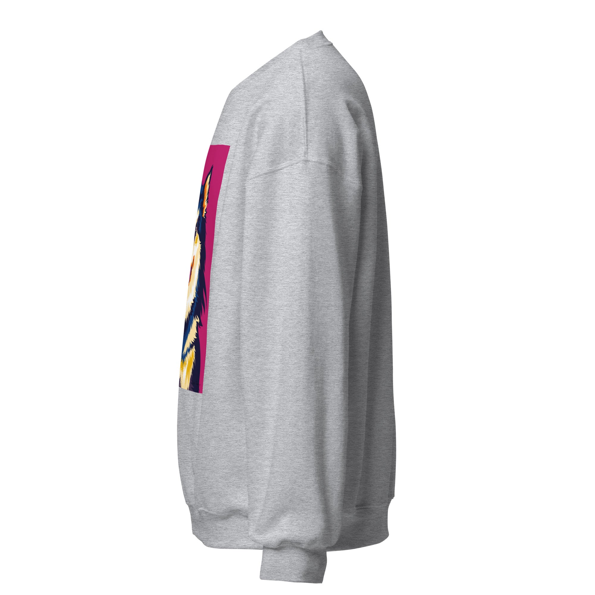 Suomenlapinkoira Collegepaita, Pop Art