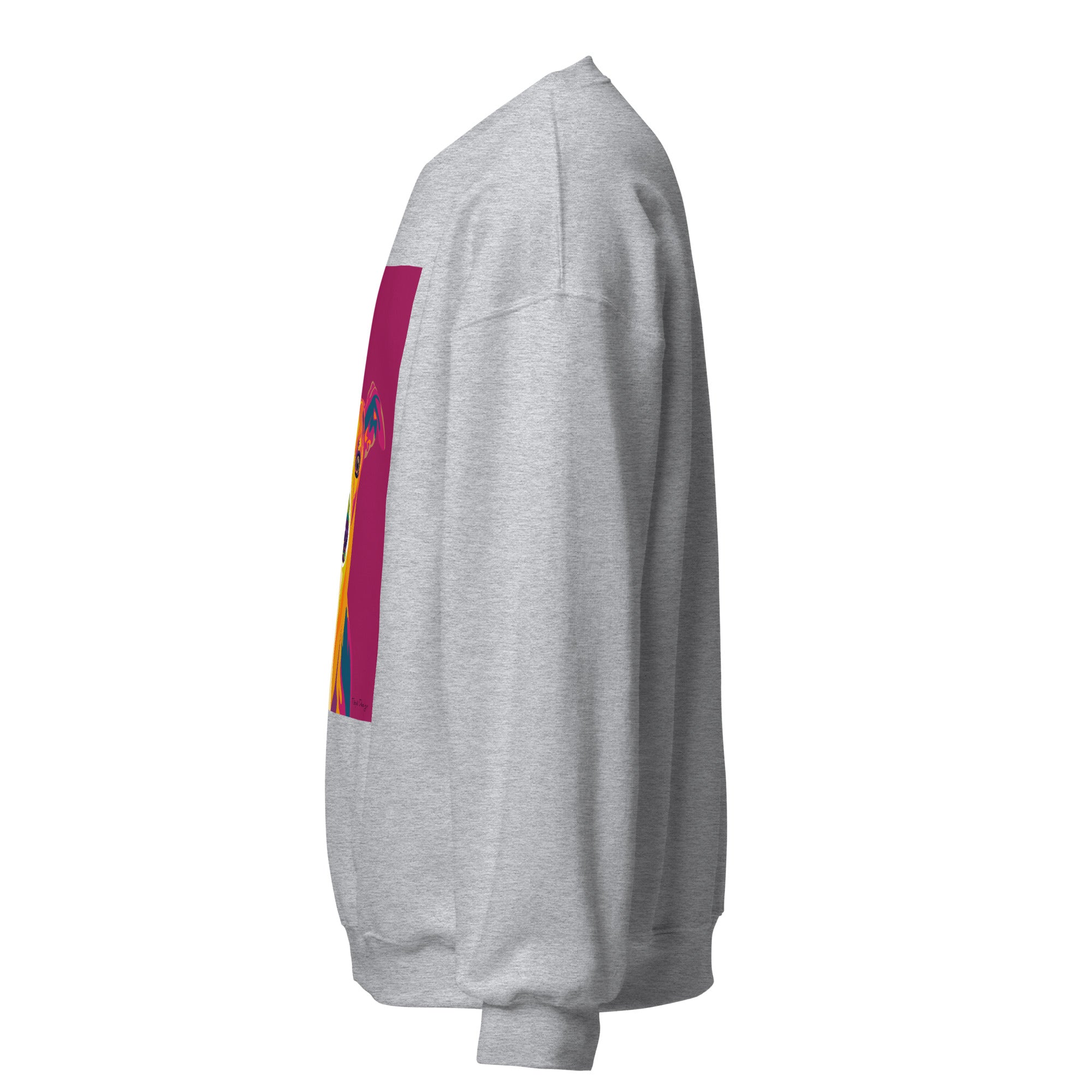 Whippet Collegepaita, Pop Art