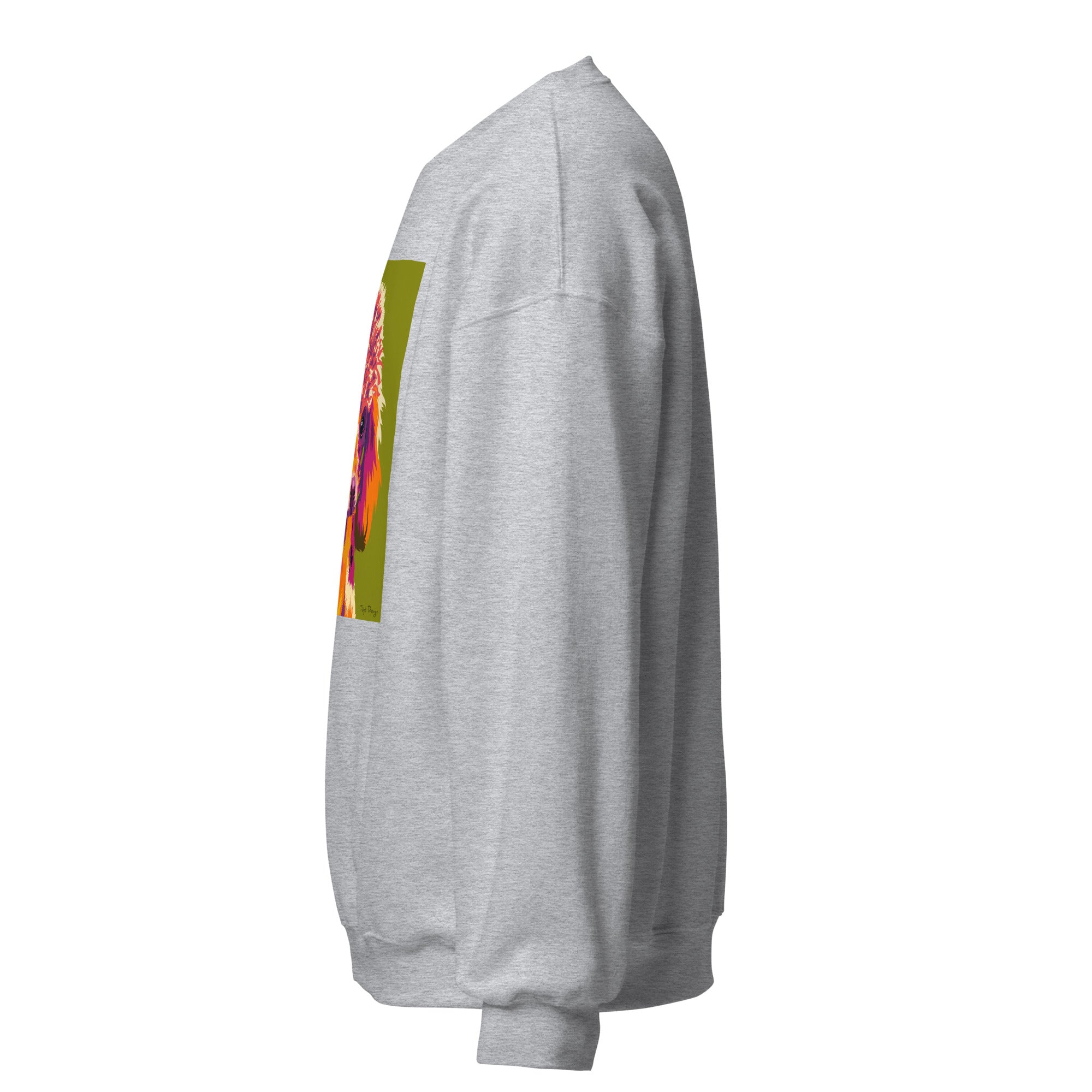 Villakoira Collegepaita, Pop Art