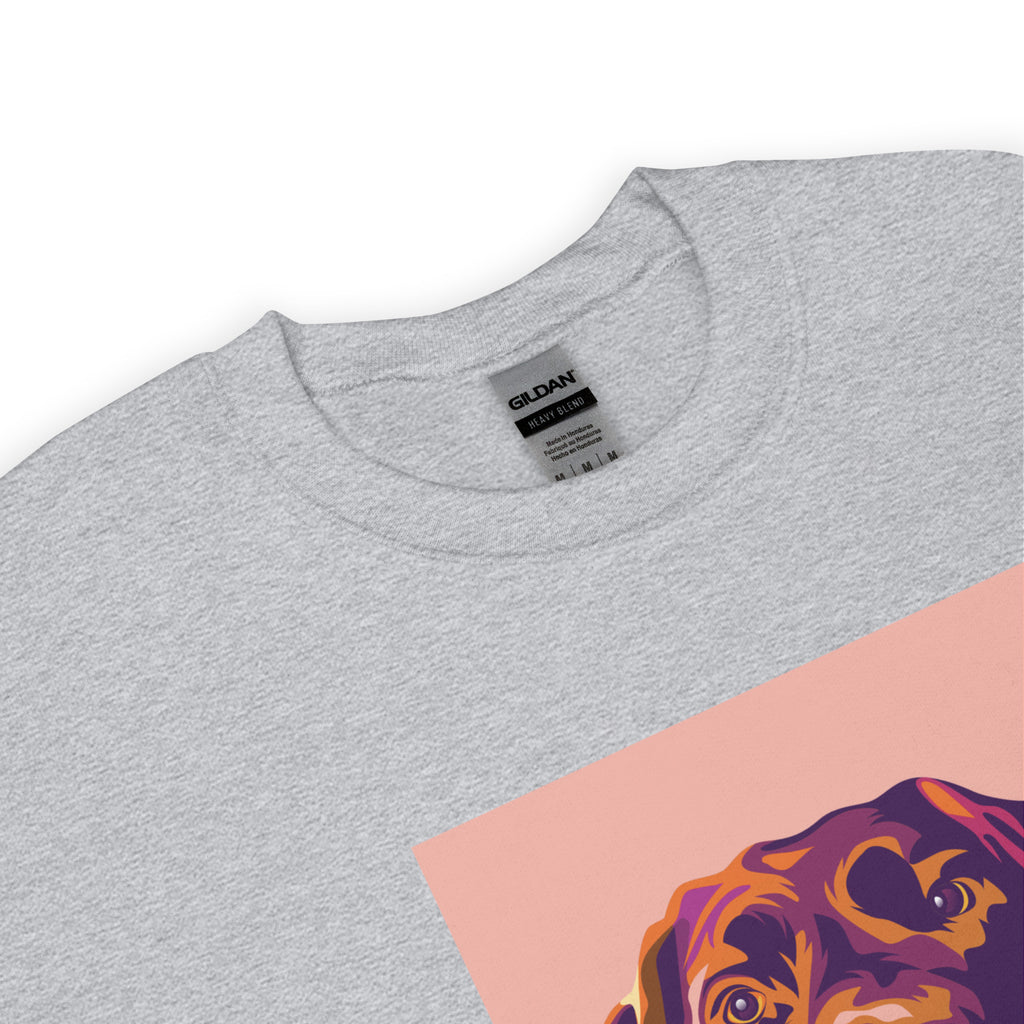 Labradorinnoutaja Collegepaita, Pop Art