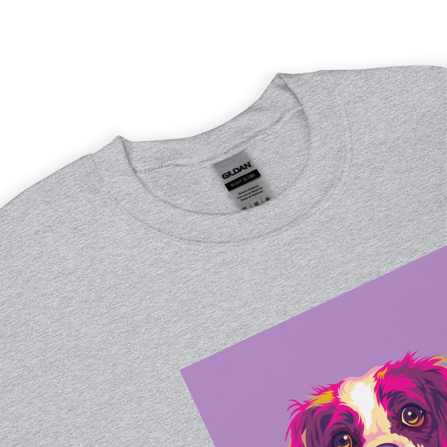 Cavalier Kingcharlesinspanieli Collegepaita, Pop Art