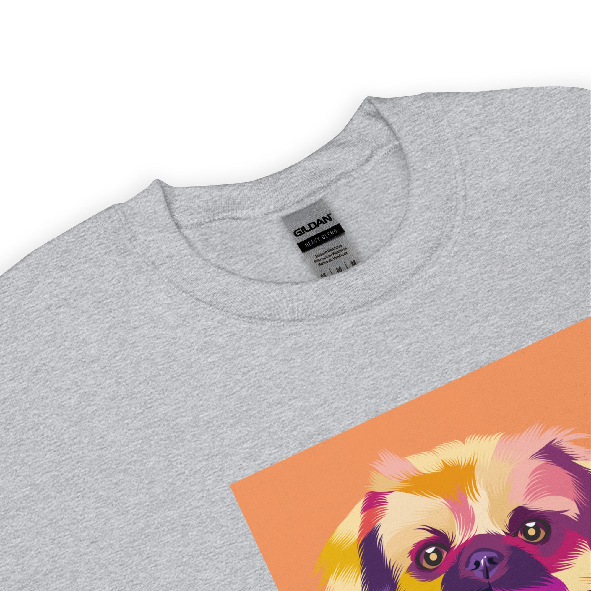 Tiibetinspanieli Collegepaita, Pop Art