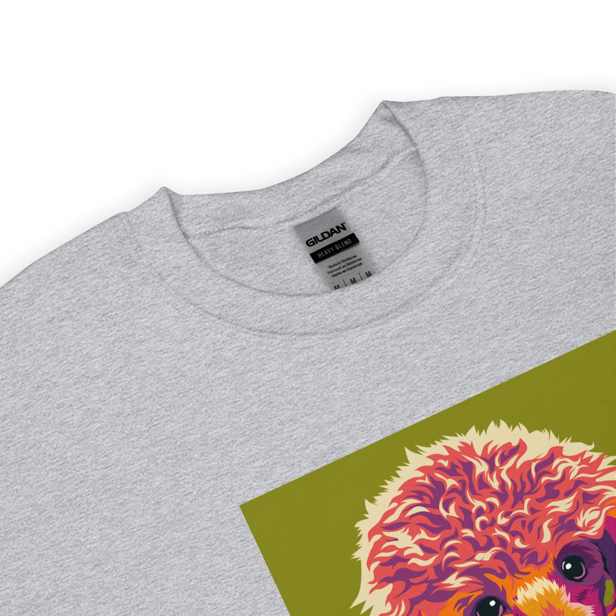 Villakoira Collegepaita, Pop Art