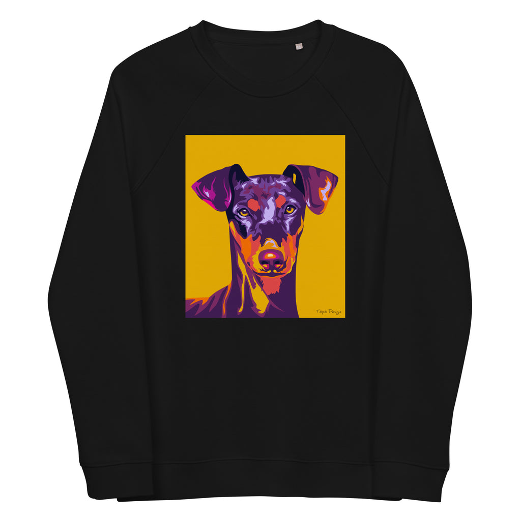 Pinseri Collegepaita, Pop Art