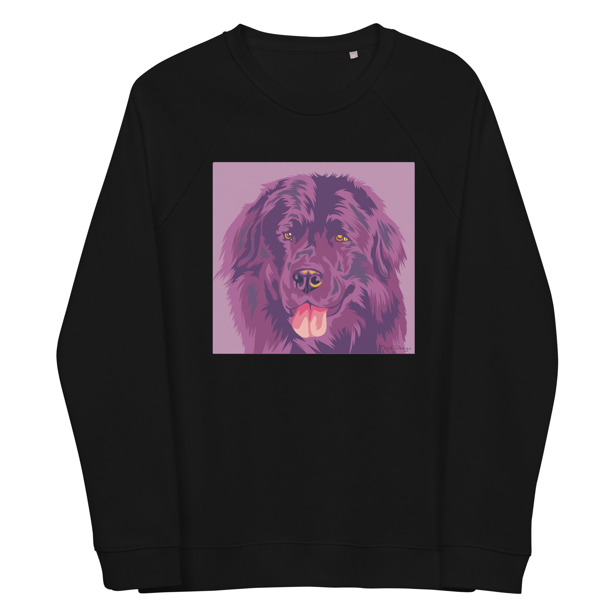 Newfoundlandinkoira Collegepaita, Pop Art