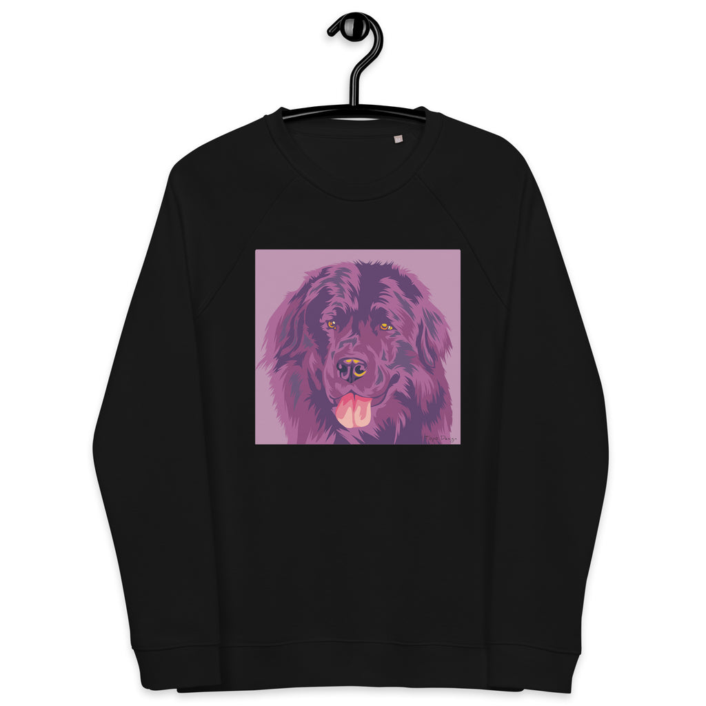 Newfoundlandinkoira Collegepaita, Pop Art