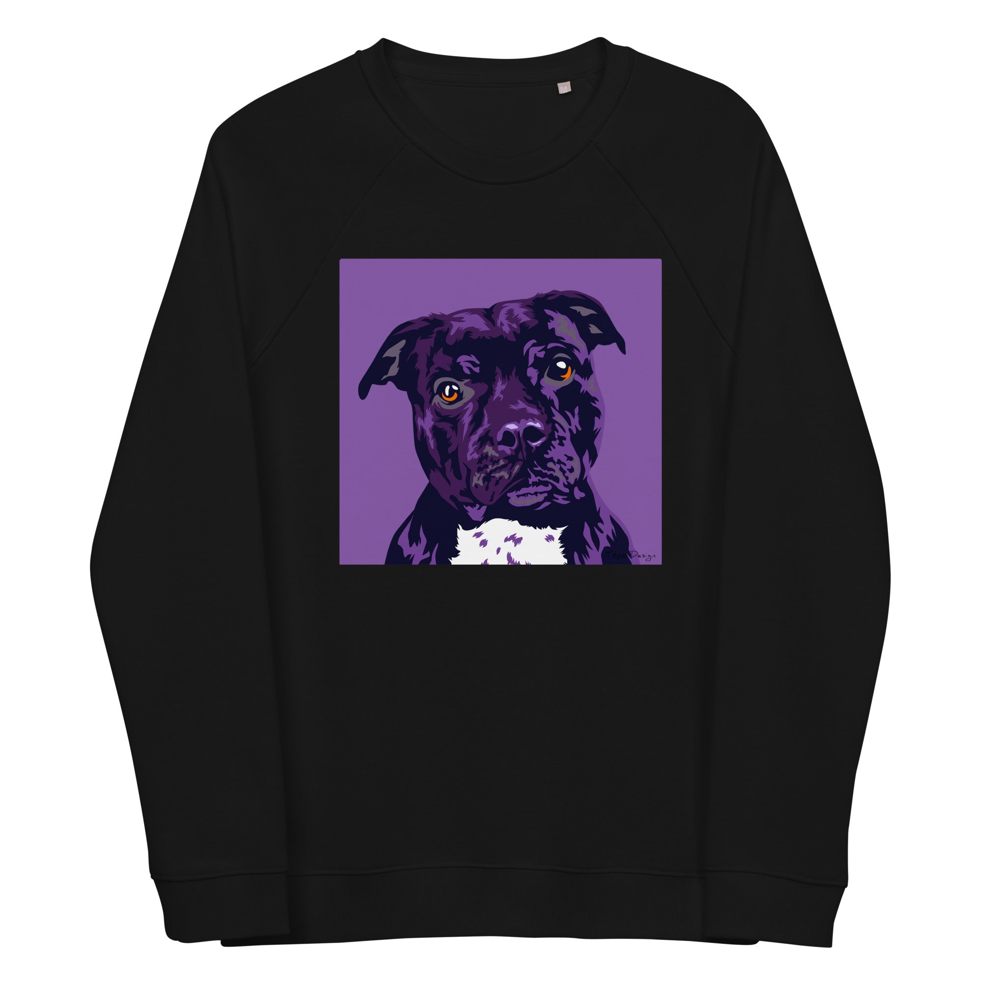 Staffi Collegepaita, Pop Art