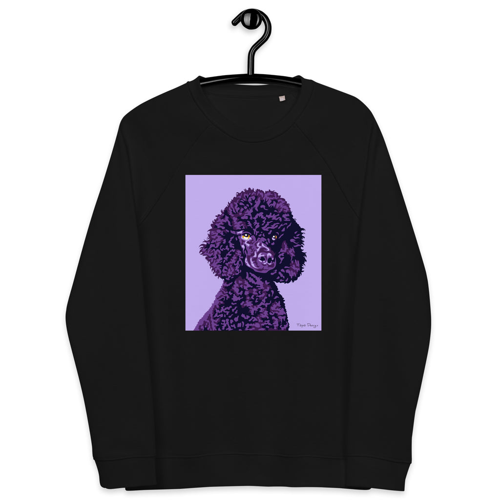 Villakoira Collegepaita, Pop Art