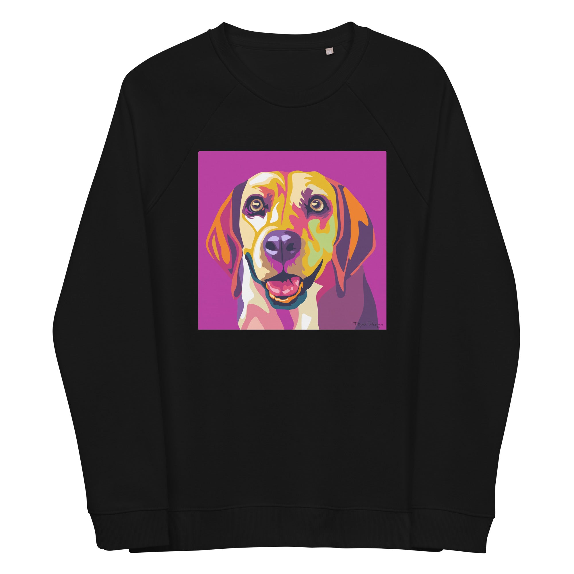 Beagle Collegepaita, Pop Art