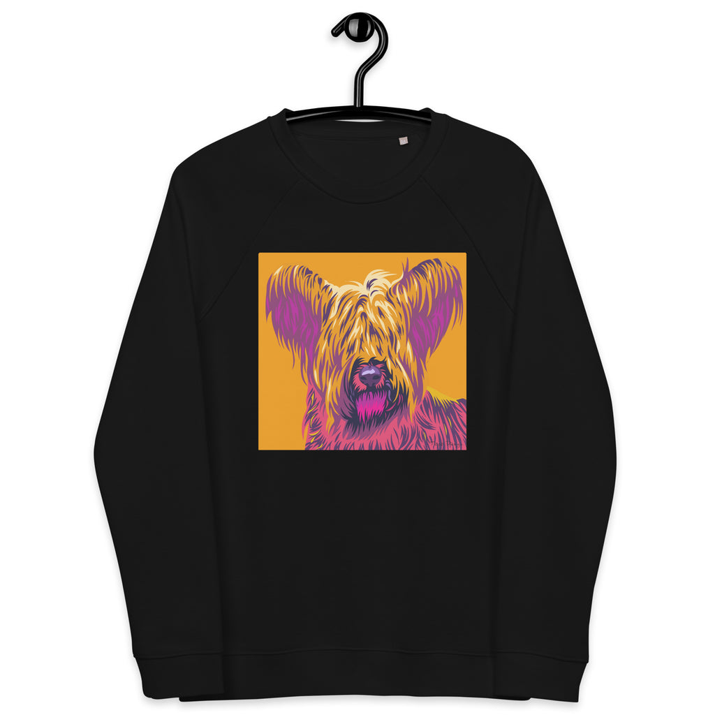 Skyenterrieri Collegepaita, Pop Art