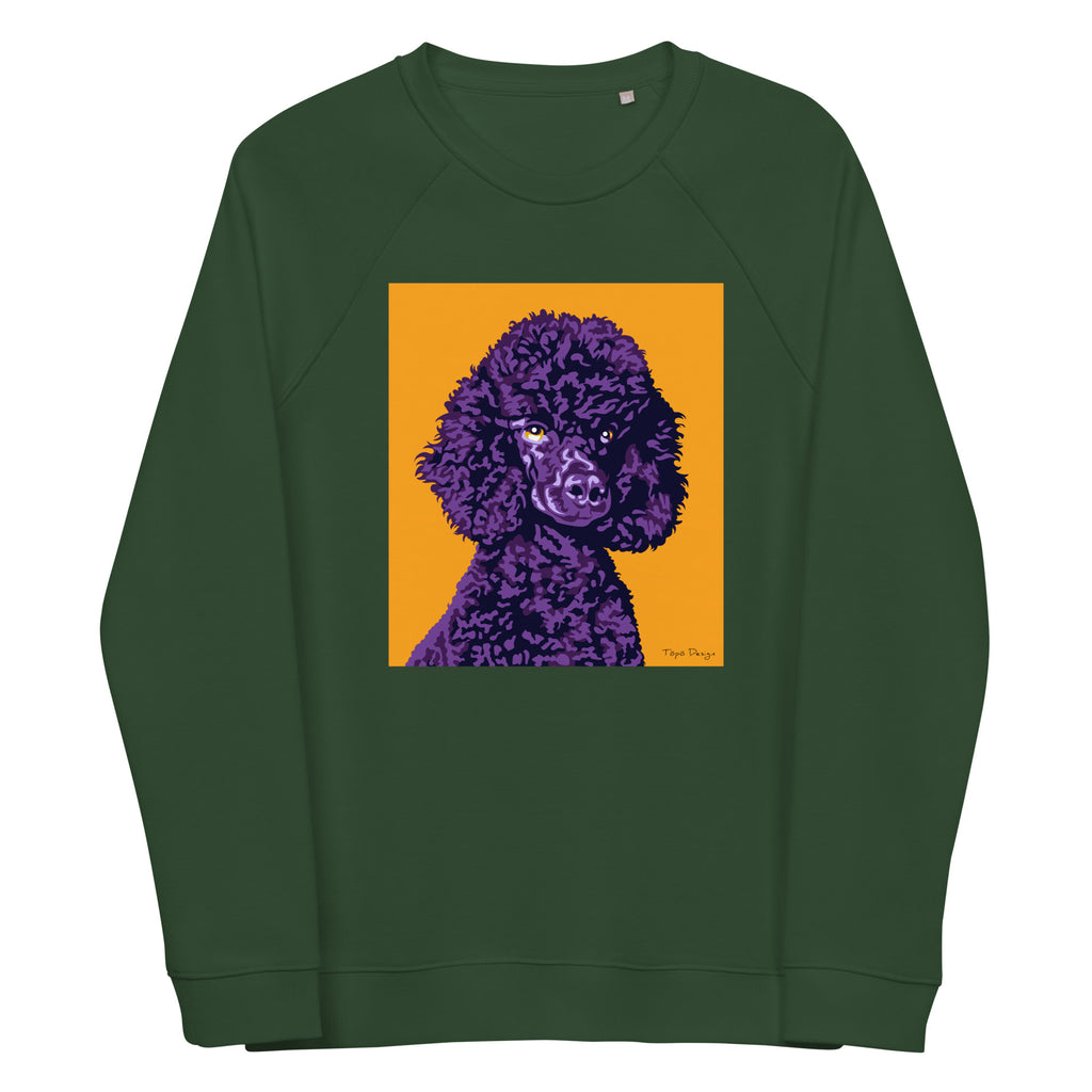 Villakoira Collegepaita, Pop Art