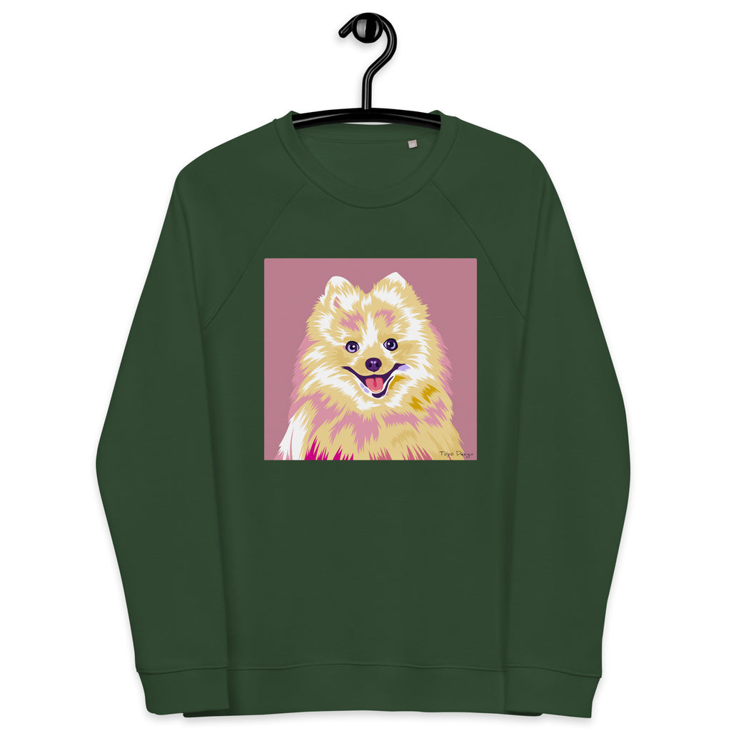 Kleinspitz Collegepaita, Pop Art