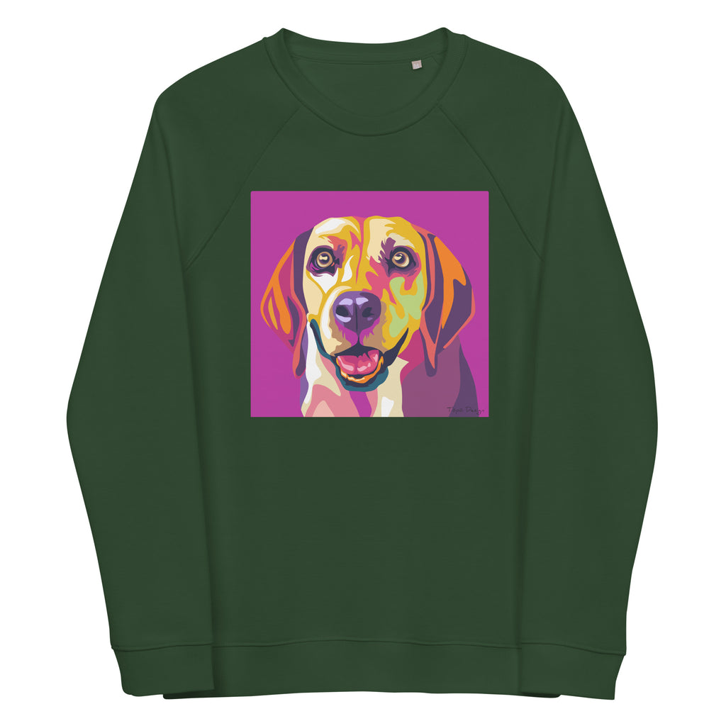 Beagle Collegepaita, Pop Art