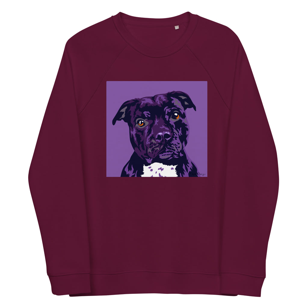 Staffi Collegepaita, Pop Art