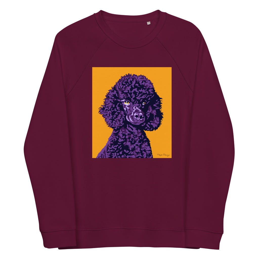 Villakoira Collegepaita, Pop Art