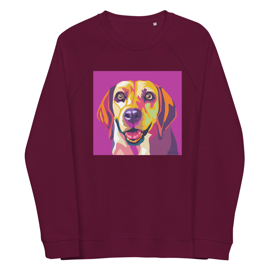 Beagle Collegepaita, Pop Art