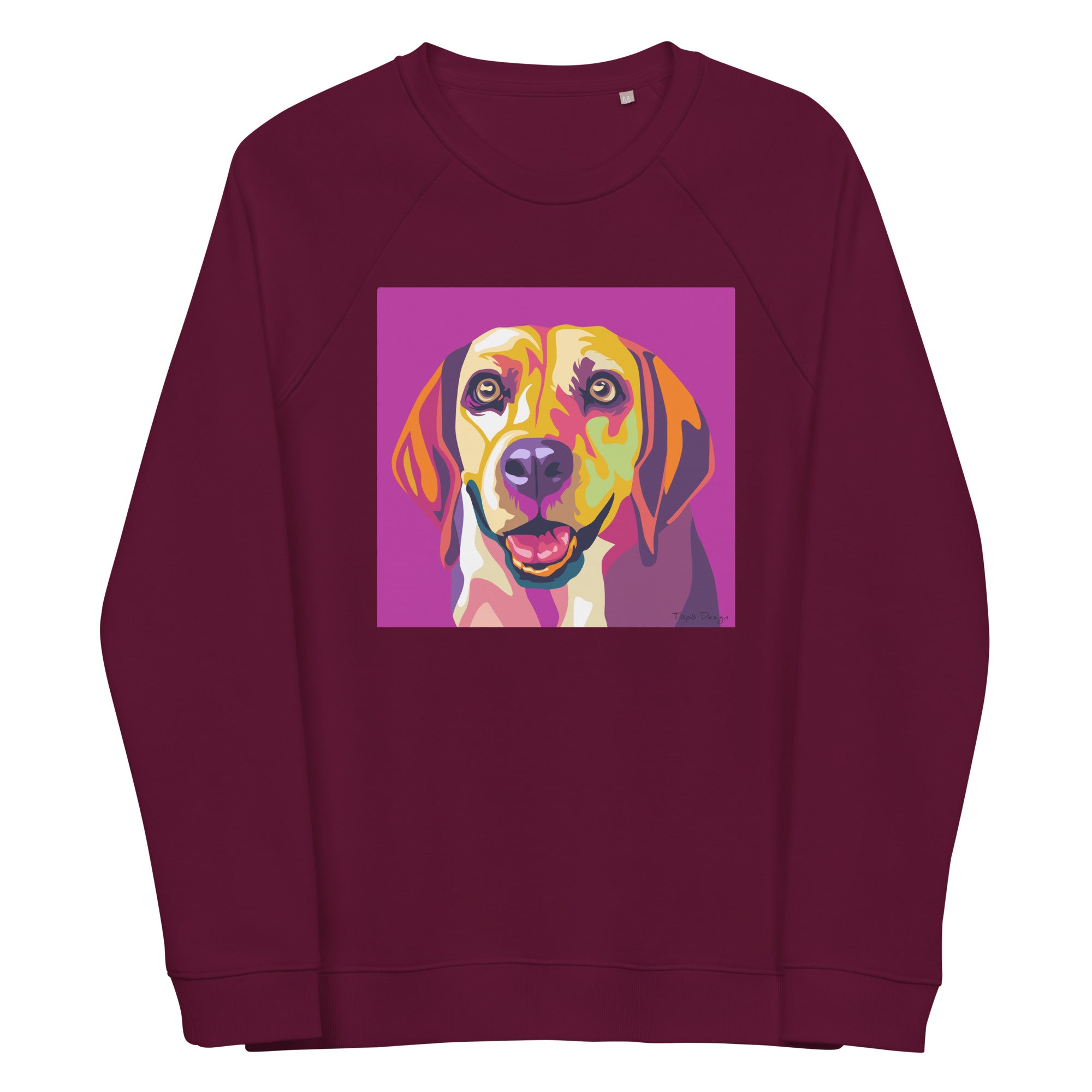 Beagle Collegepaita, Pop Art