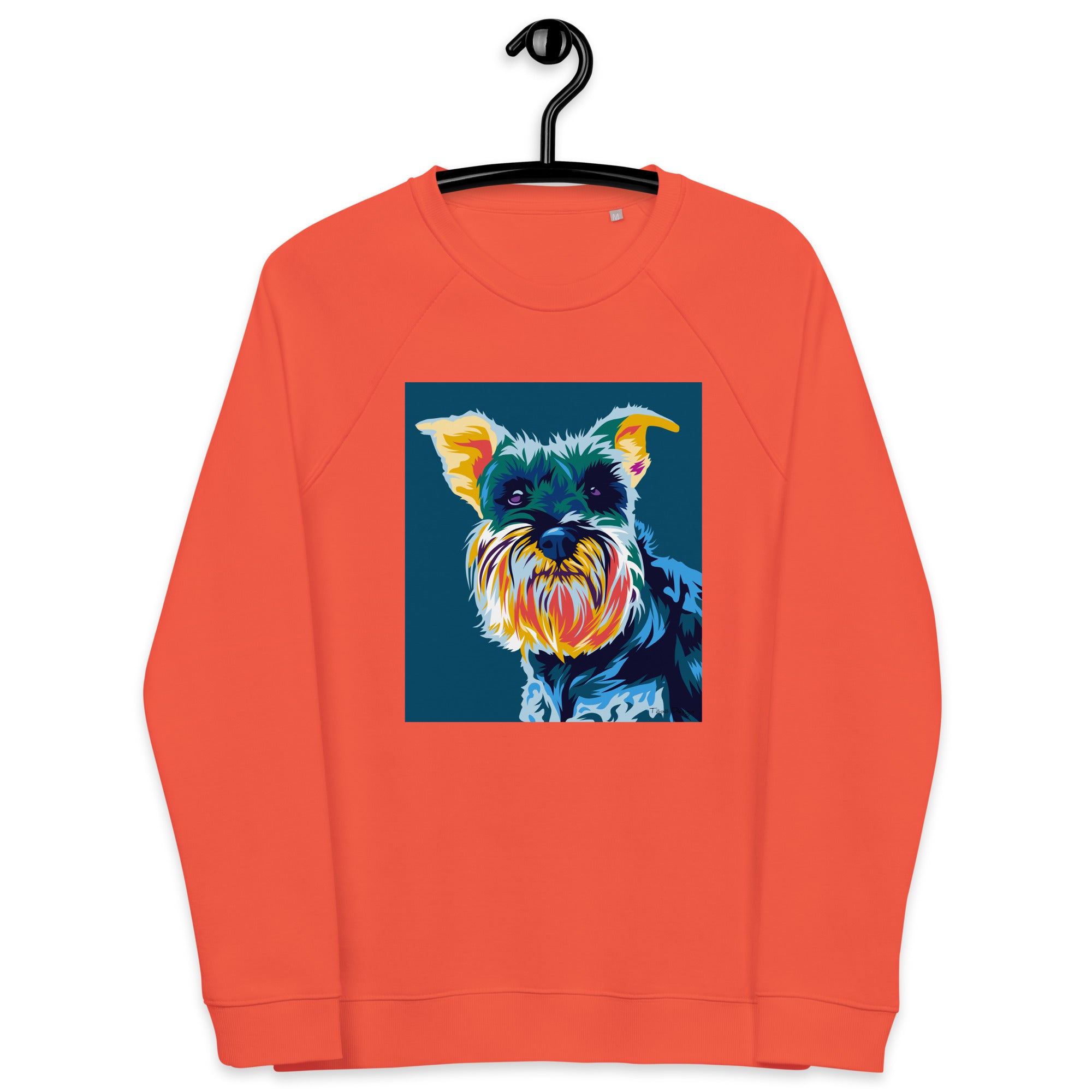 Snautseri Collegepaita, Pop Art