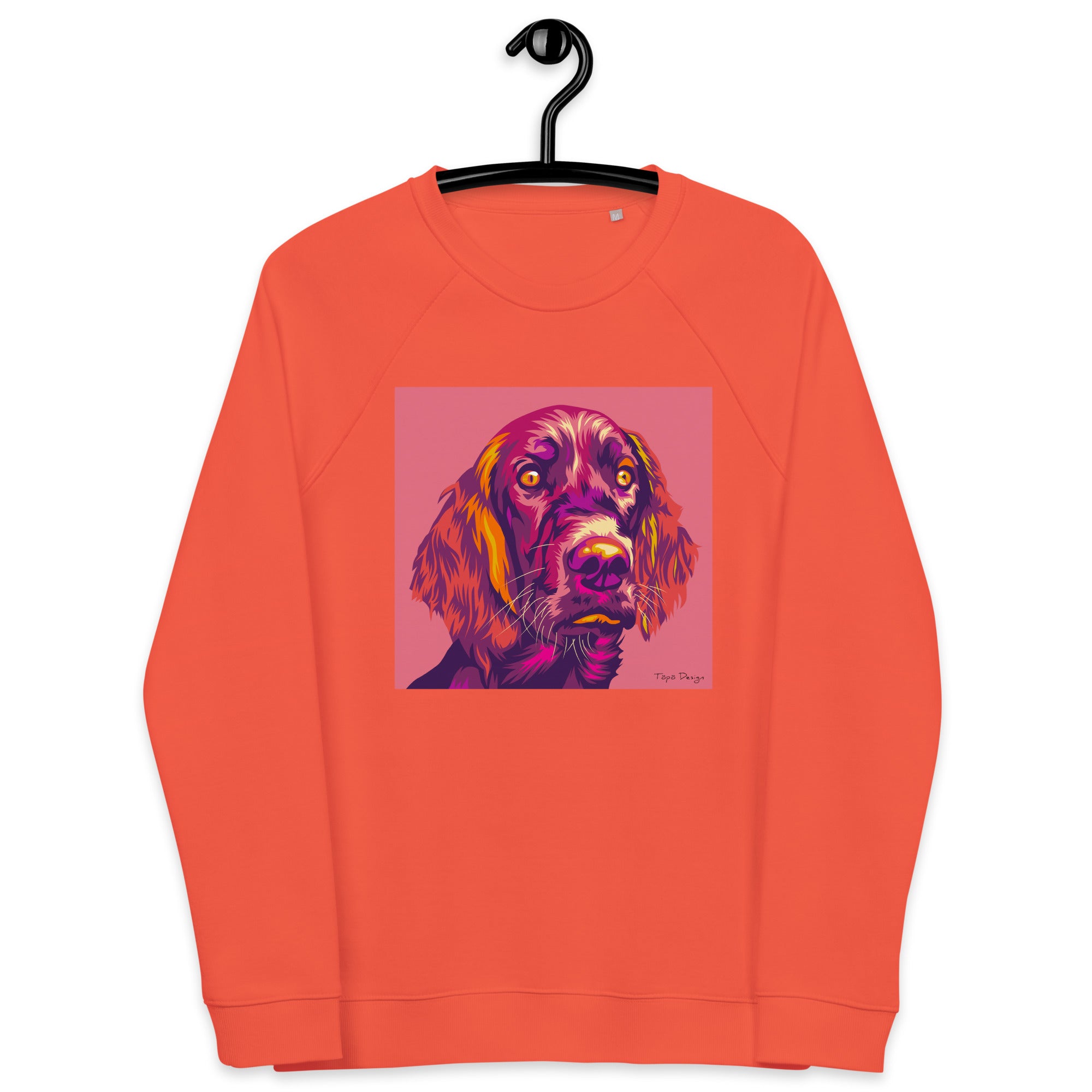 Irlannin setteri Collegepaita, Pop Art