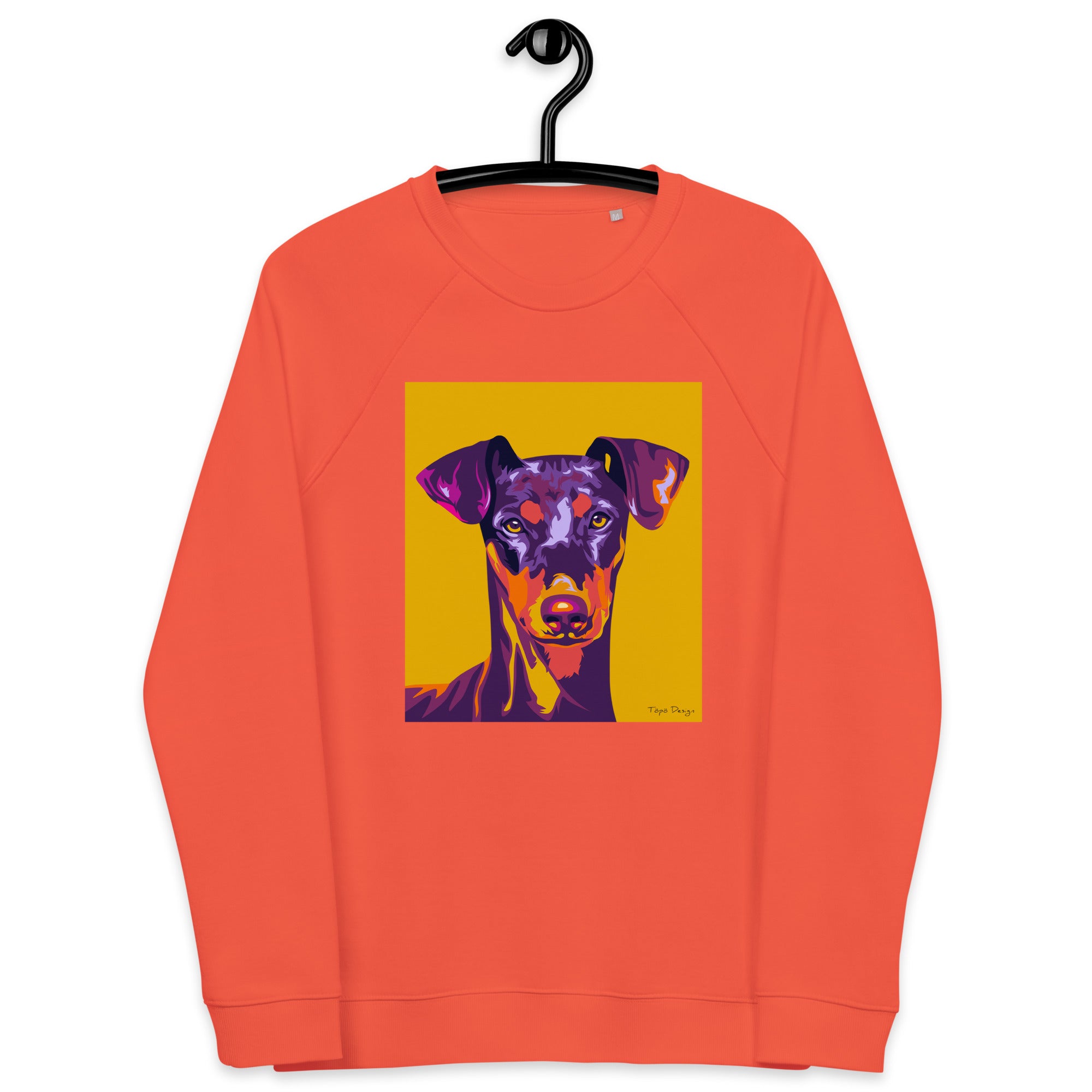 Pinseri Collegepaita, Pop Art