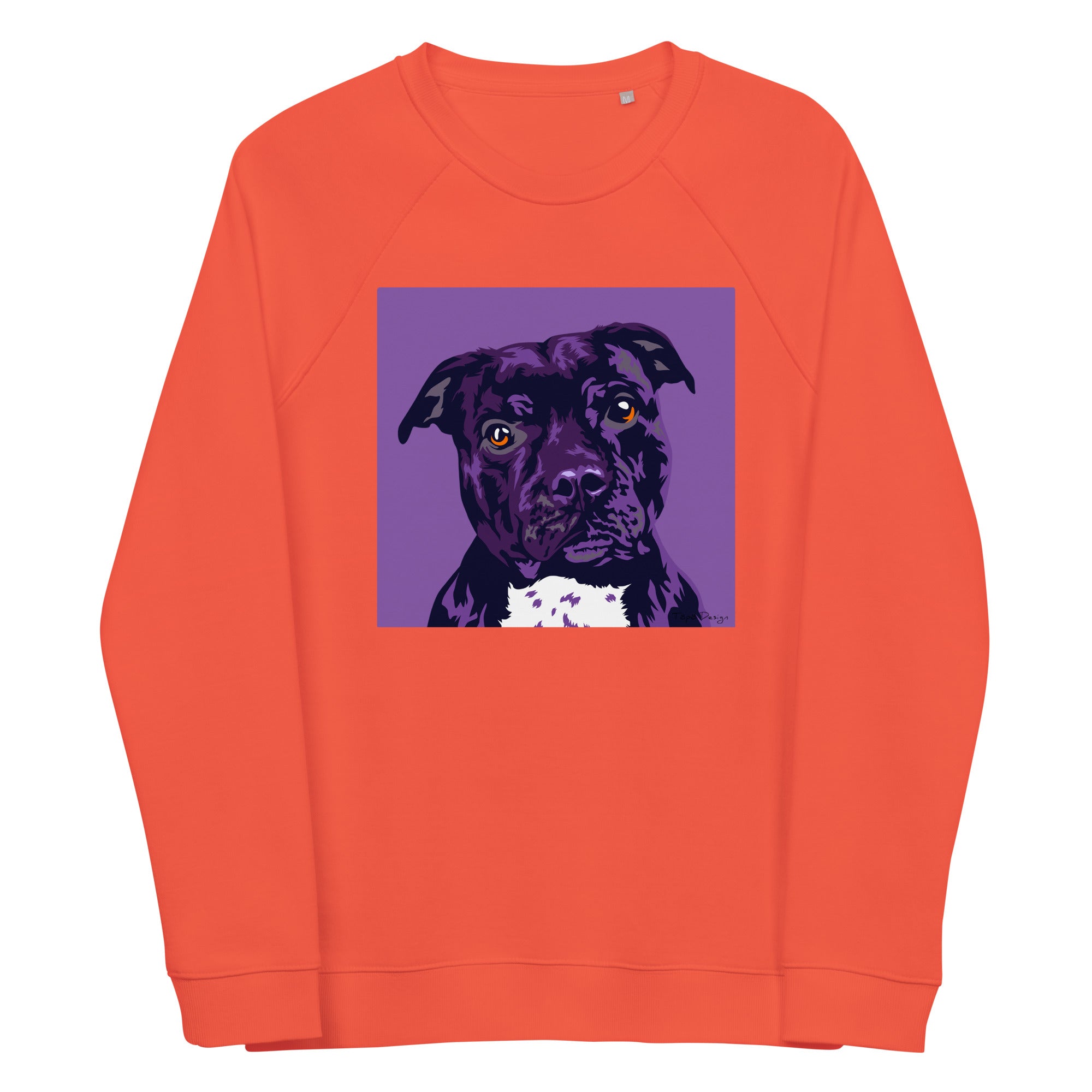 Staffi Collegepaita, Pop Art