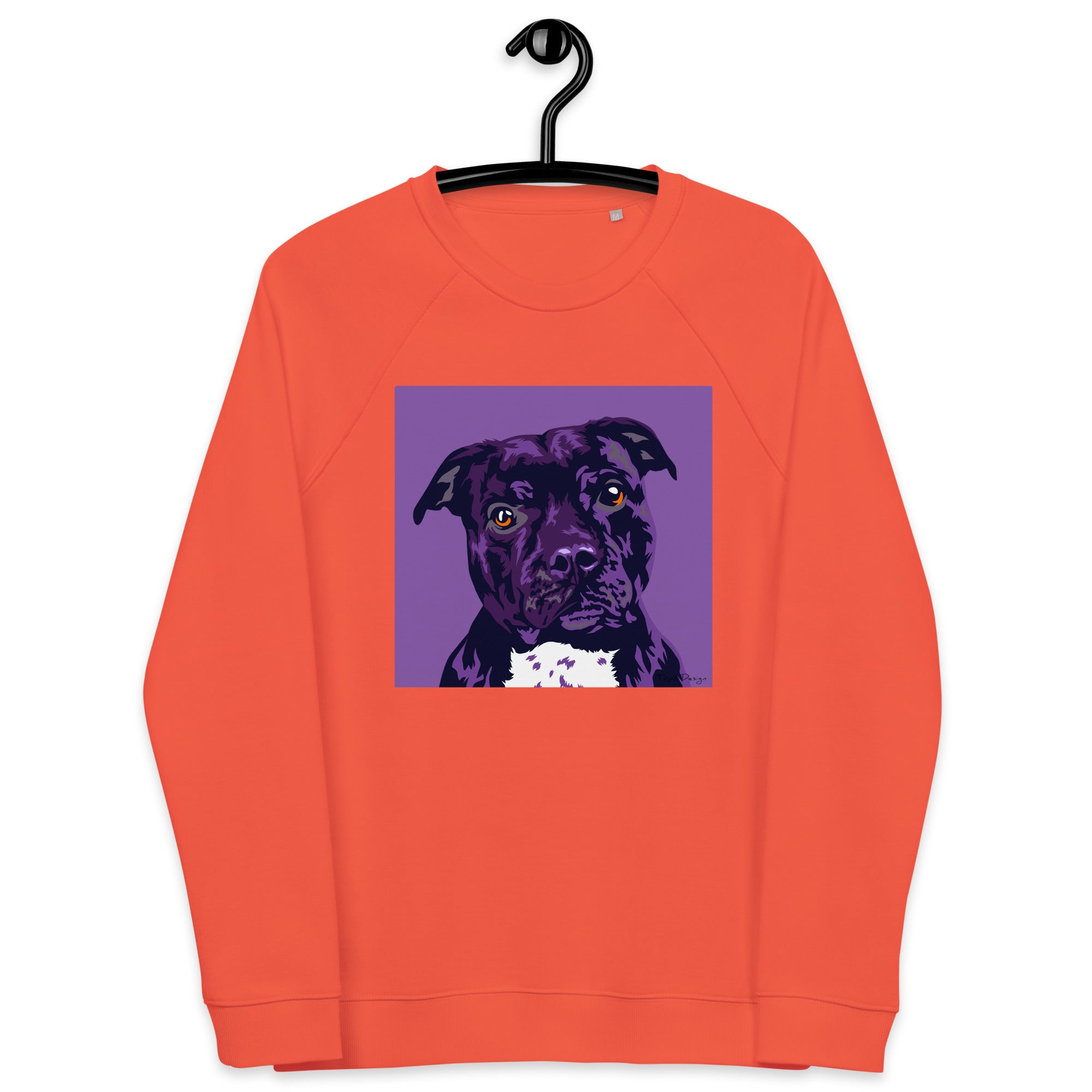 Staffi Collegepaita, Pop Art