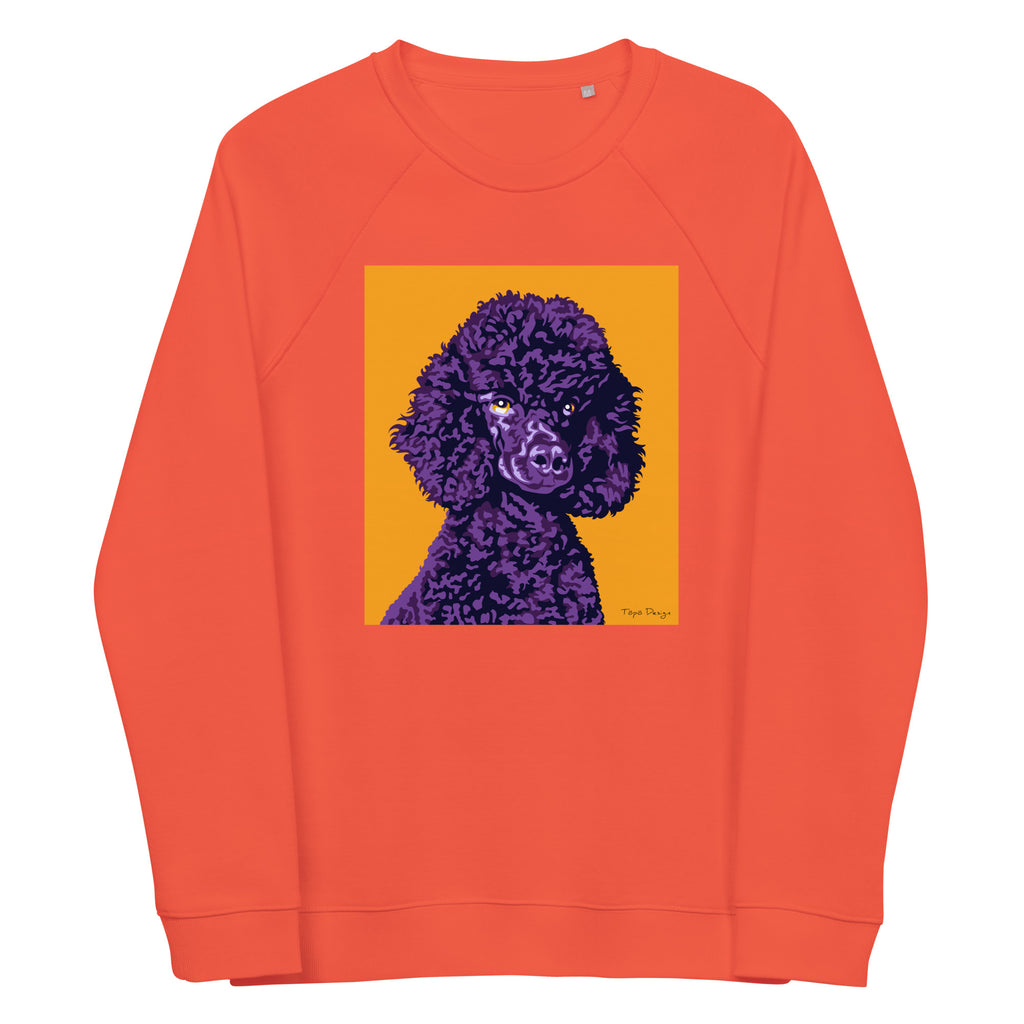 Villakoira Collegepaita, Pop Art