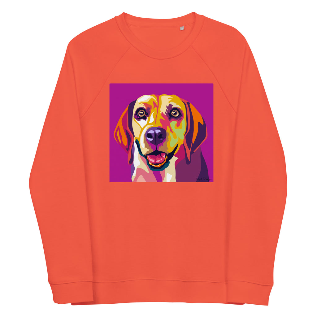 Beagle Collegepaita, Pop Art
