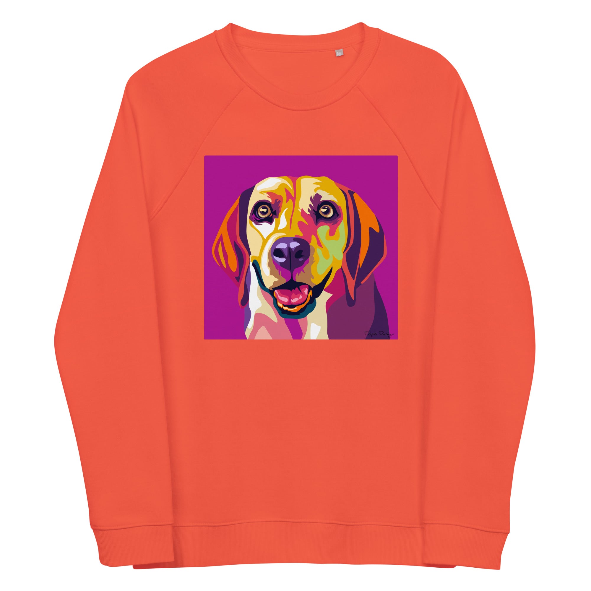 Beagle Collegepaita, Pop Art