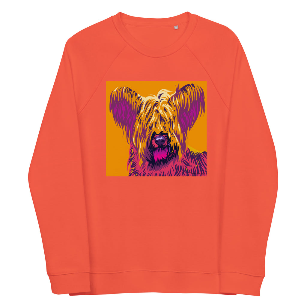 Skyenterrieri Collegepaita, Pop Art