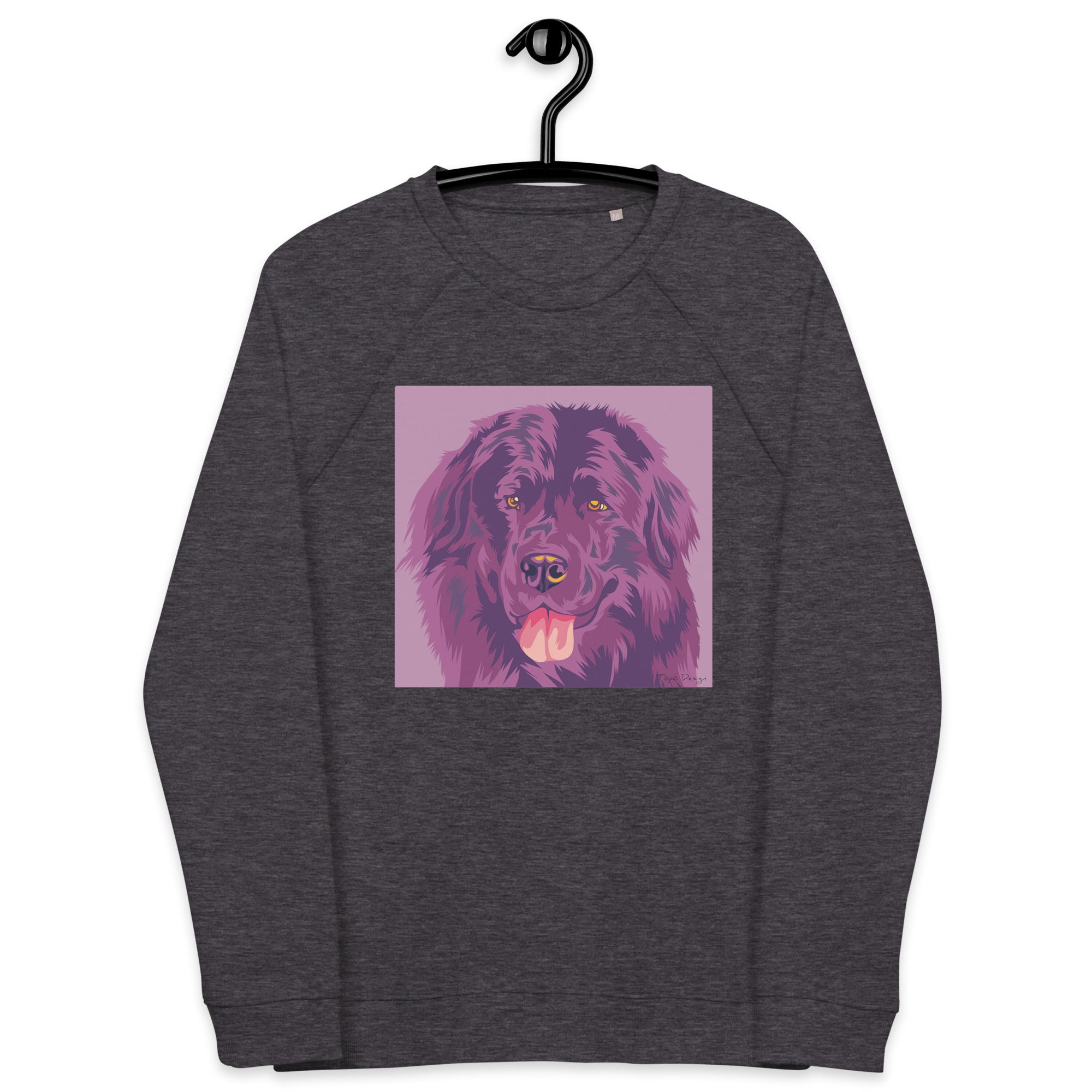 Newfoundlandinkoira Collegepaita, Pop Art