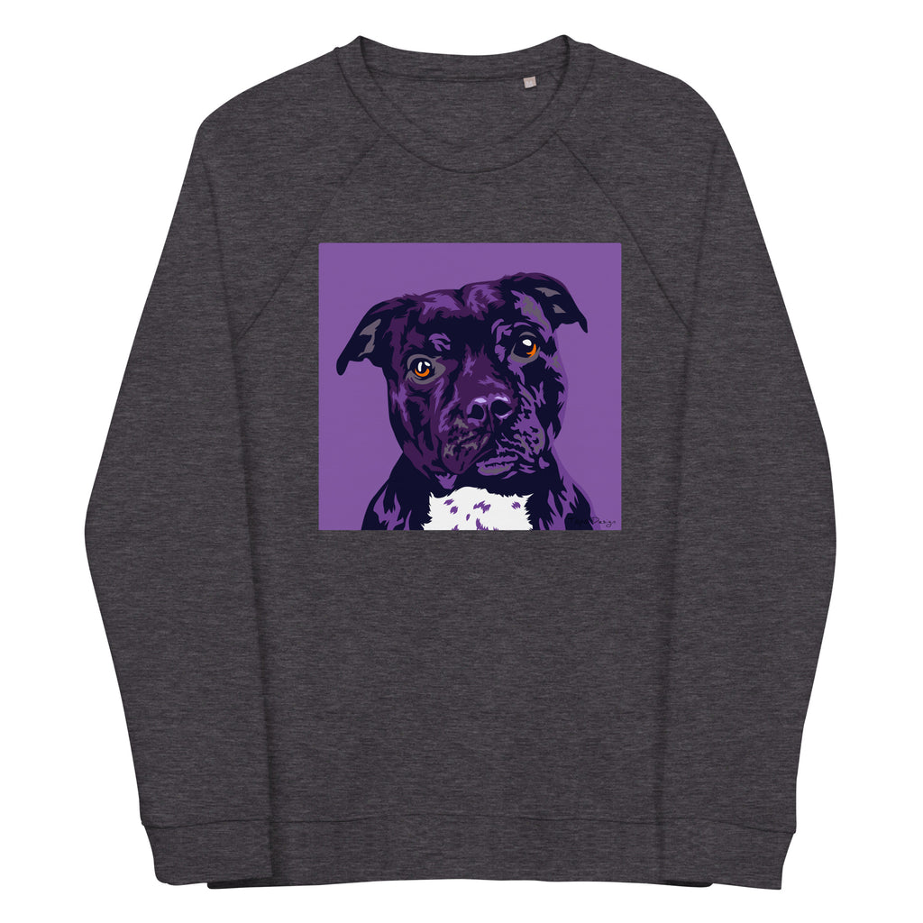 Staffi Collegepaita, Pop Art