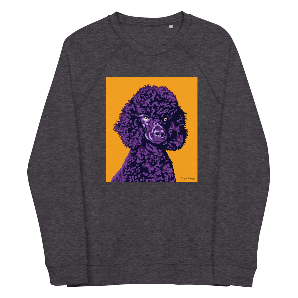 Villakoira Collegepaita, Pop Art